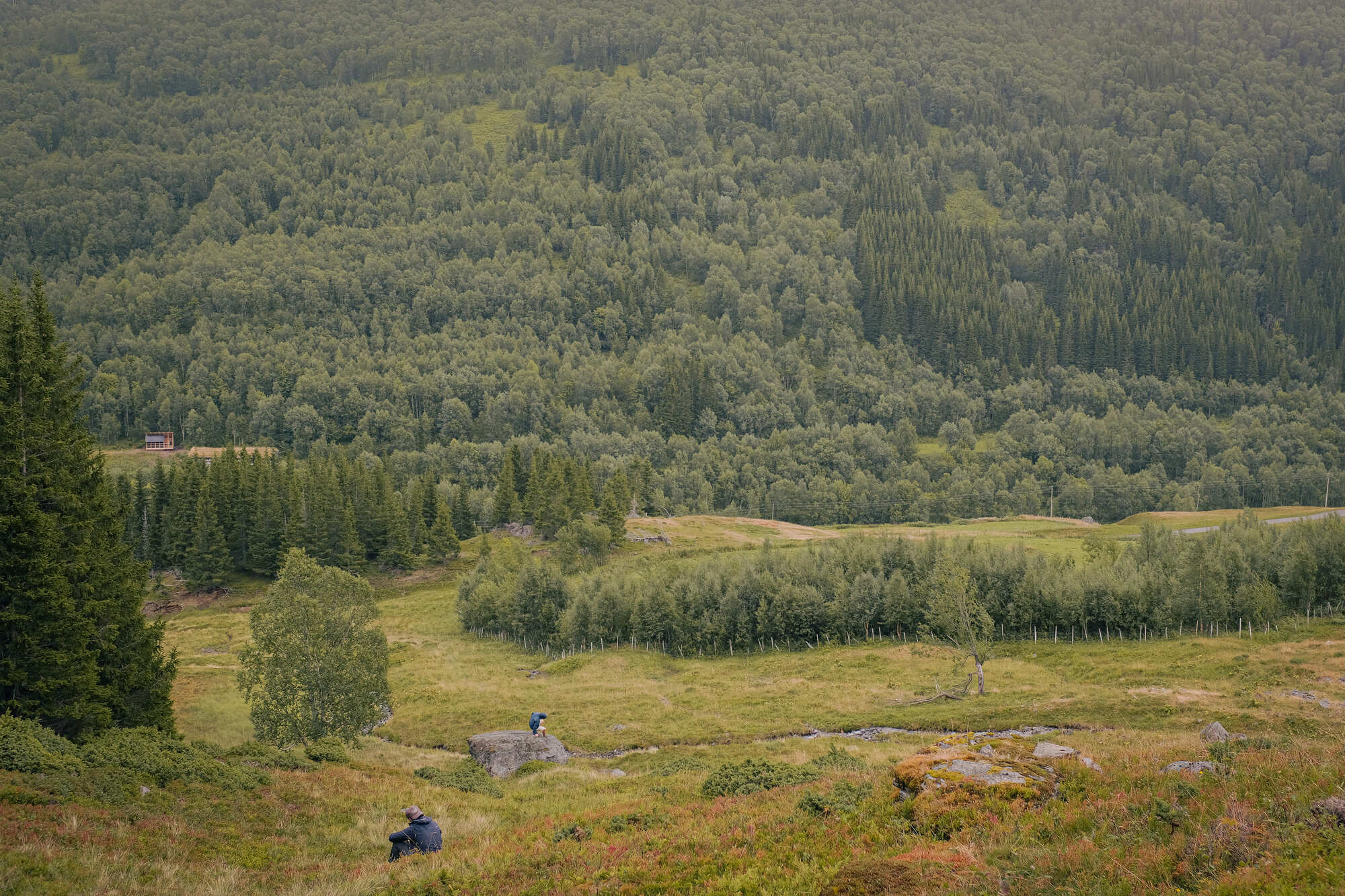 Distant view of two figures seated on a hillside overlooking forested valley below