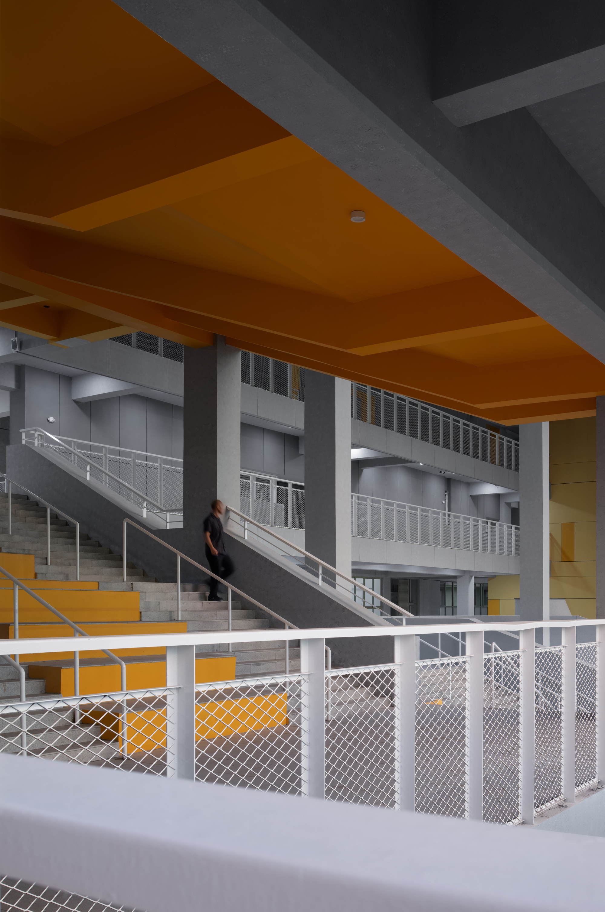 Multi-level circulation space with white mesh railing, timber stairs, and yellow-painted soffit above