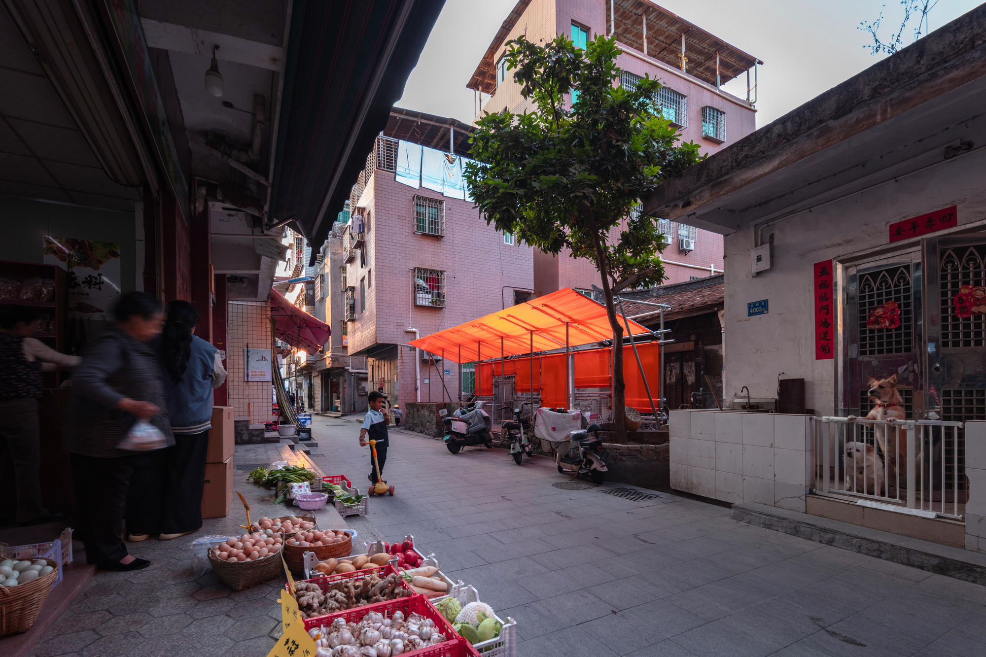 Street view of the orange canopy structure beside vegetable baskets at dusk with a street tree overhead