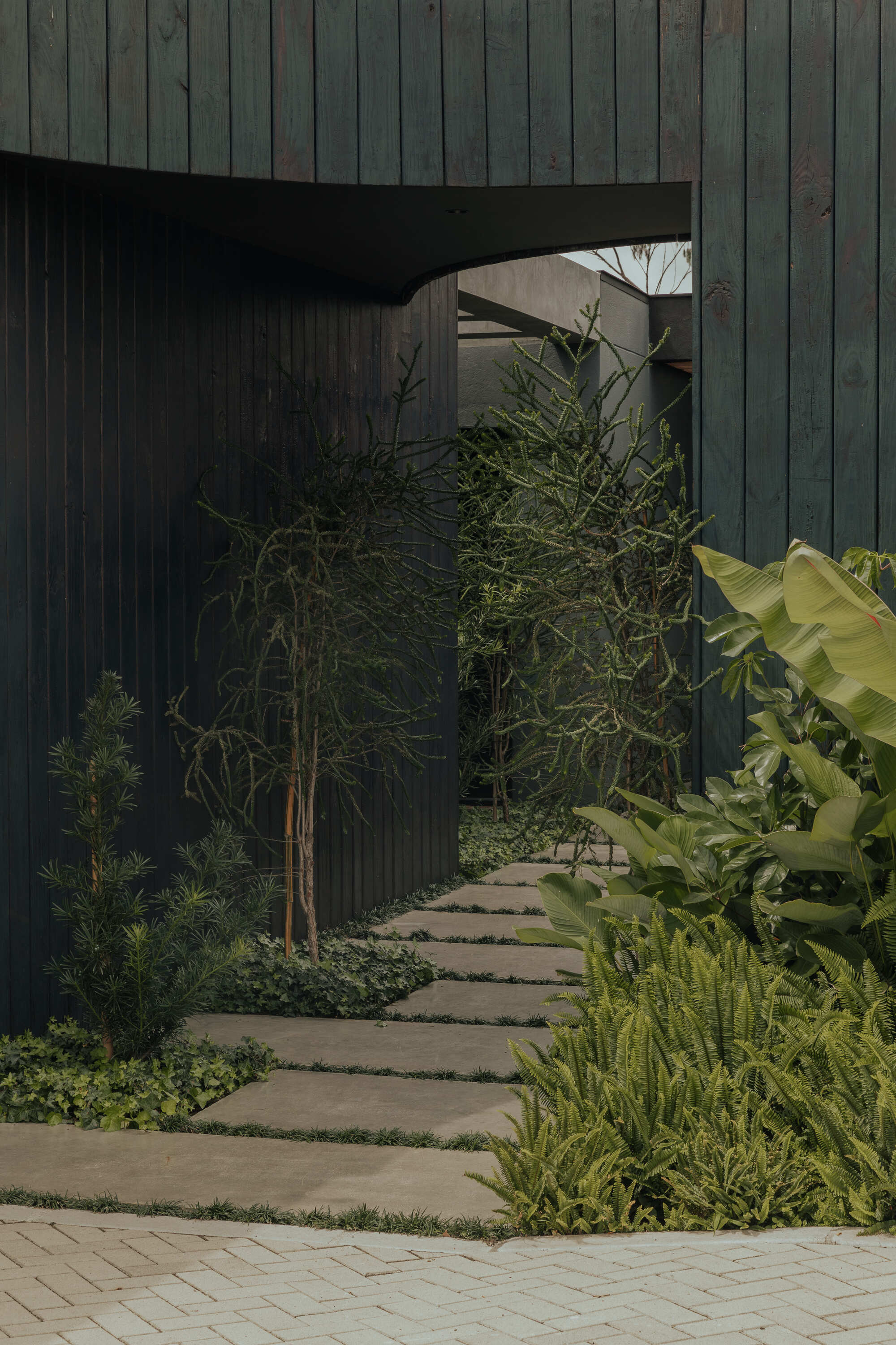 Stepping stone pathway winding through planted garden bed with bamboo and banana palms toward timber facade