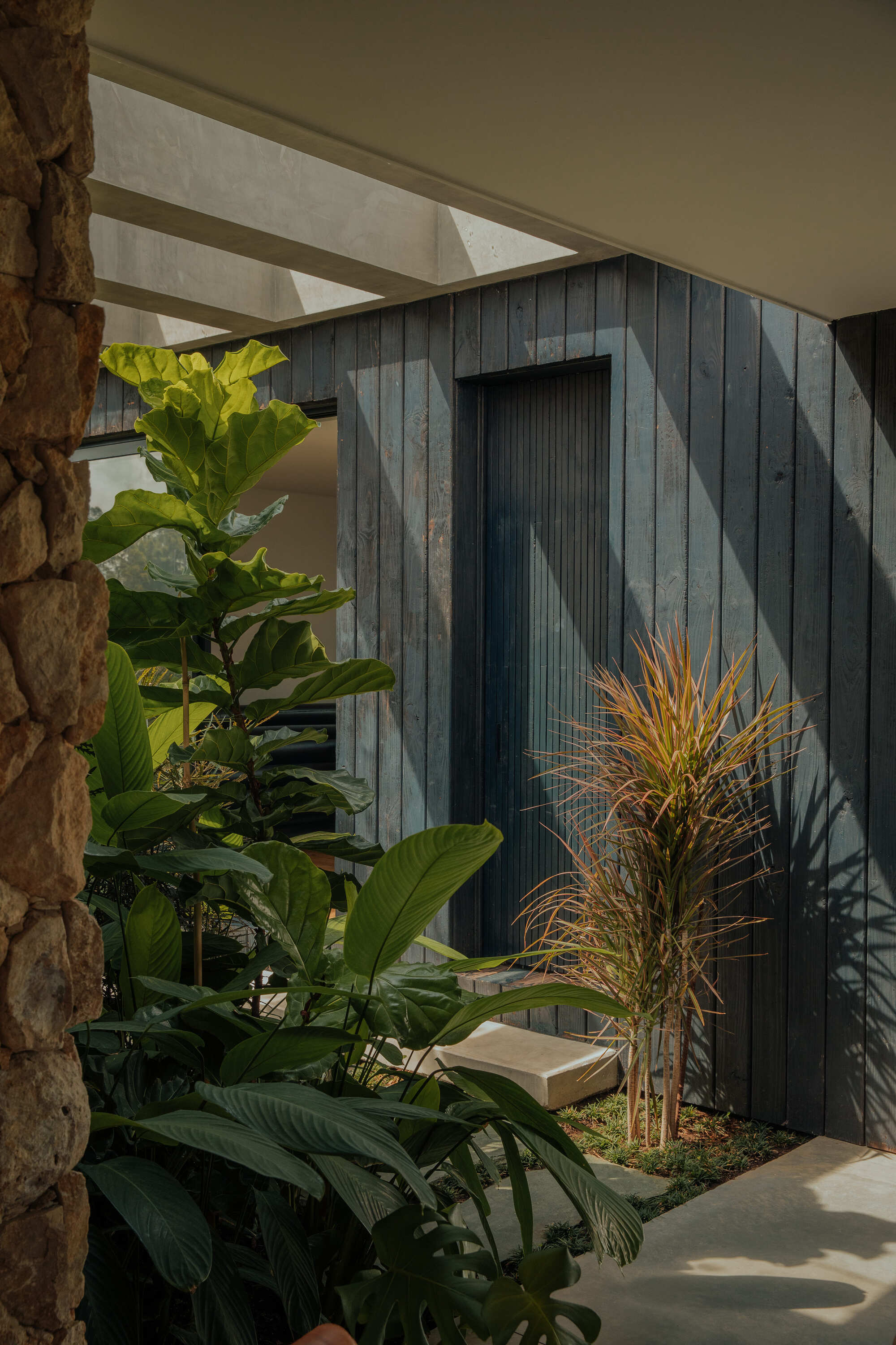 Curved timber wall with vertical cladding and recessed door in courtyard planted with banana palms