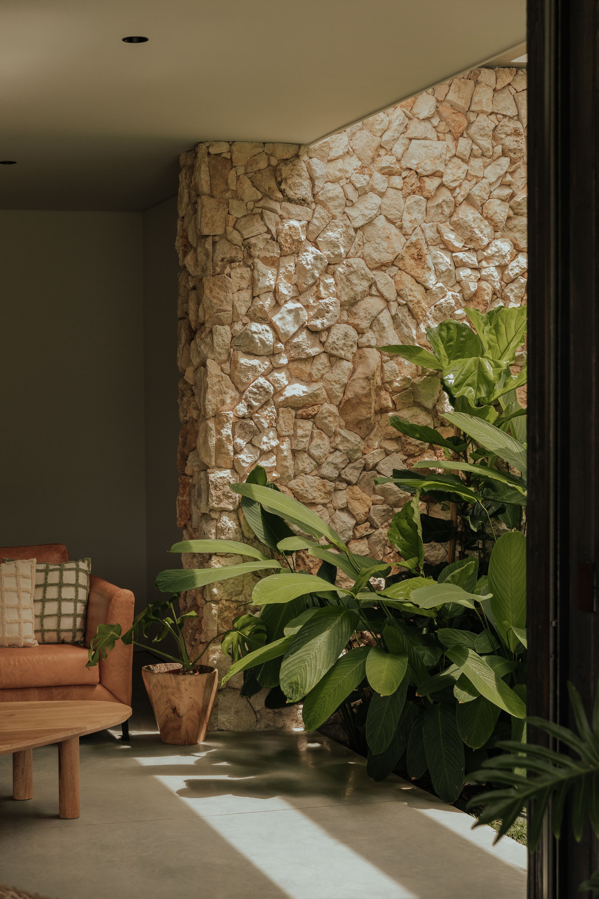 Interior corner with limestone wall, potted plants and dappled sunlight across concrete floor