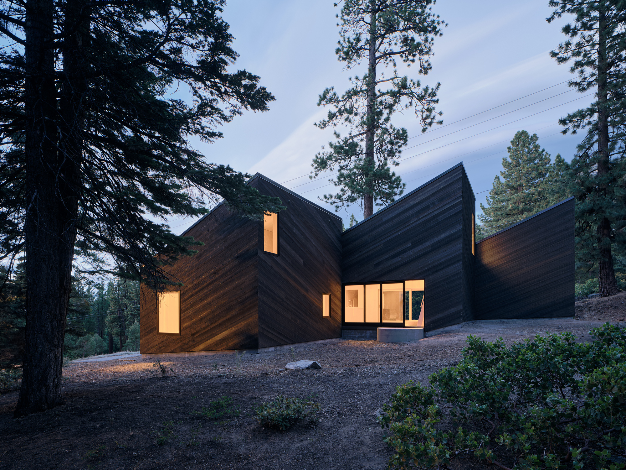 Illuminated windows puncturing the diagonal wood facade at dusk among the forest trees