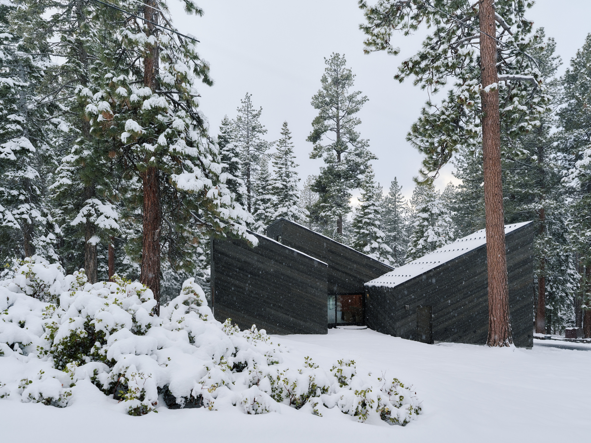 Dark stained wood exterior with snow dusted roofs and planted shrubs in winter conditions