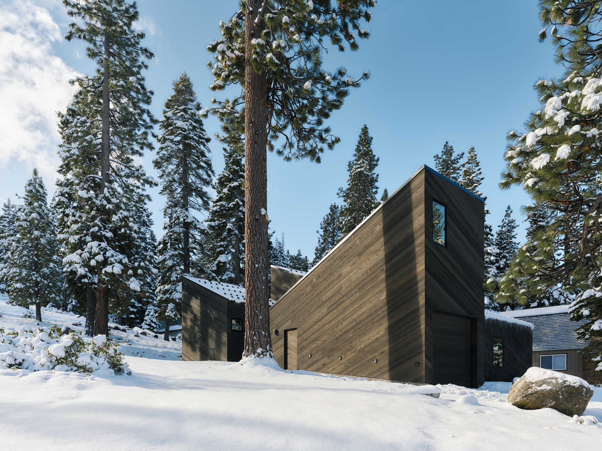 Tall gabled facade with horizontal wood siding rising between snow-covered conifers in bright sunlight