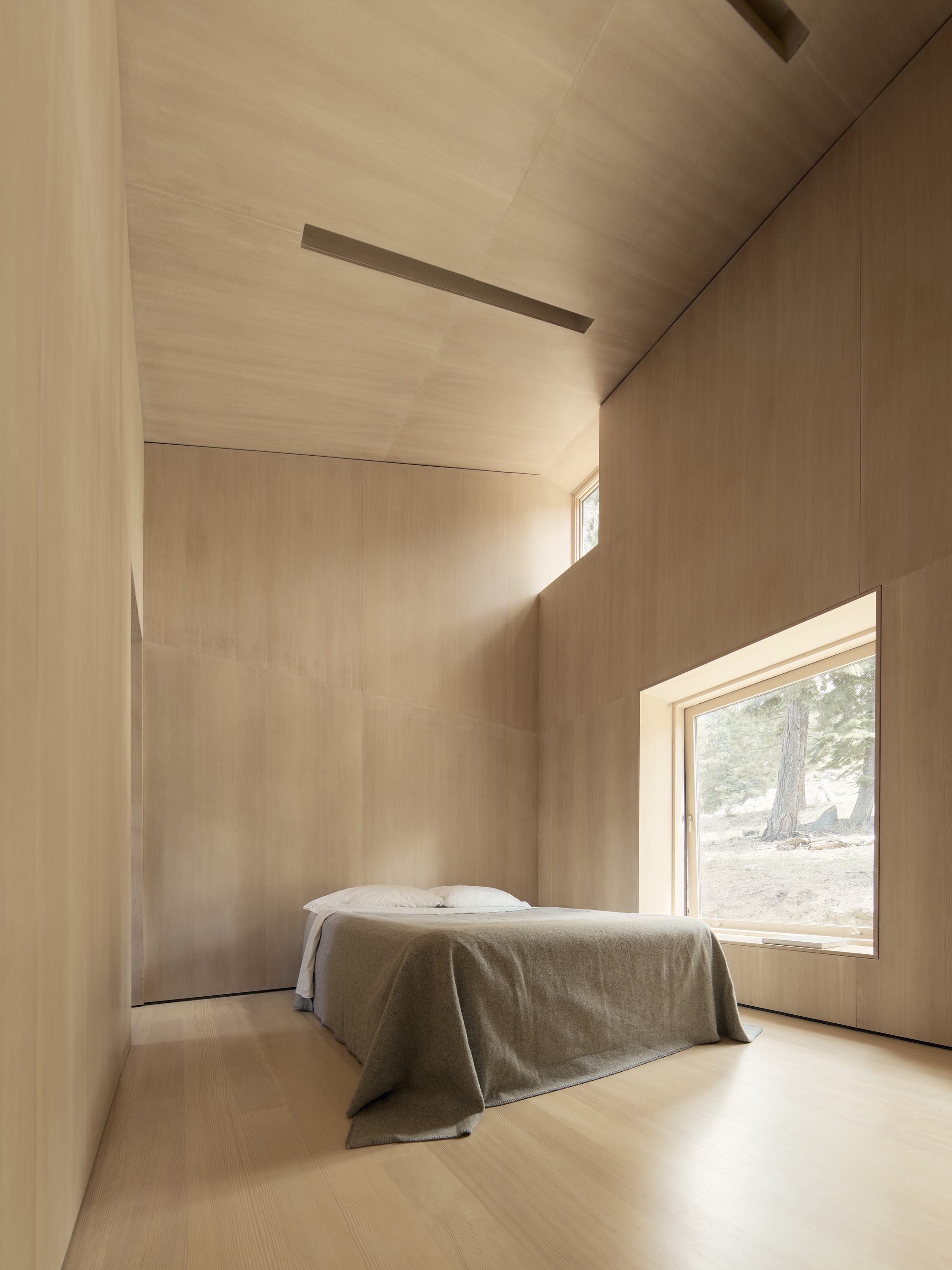 Bedroom with pale timber surfaces and a low window looking out to a pine tree