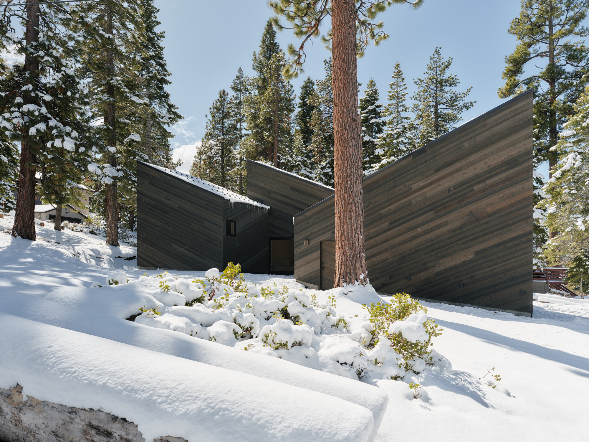 Three intersecting gabled volumes with wood cladding arranged around native plantings in snow
