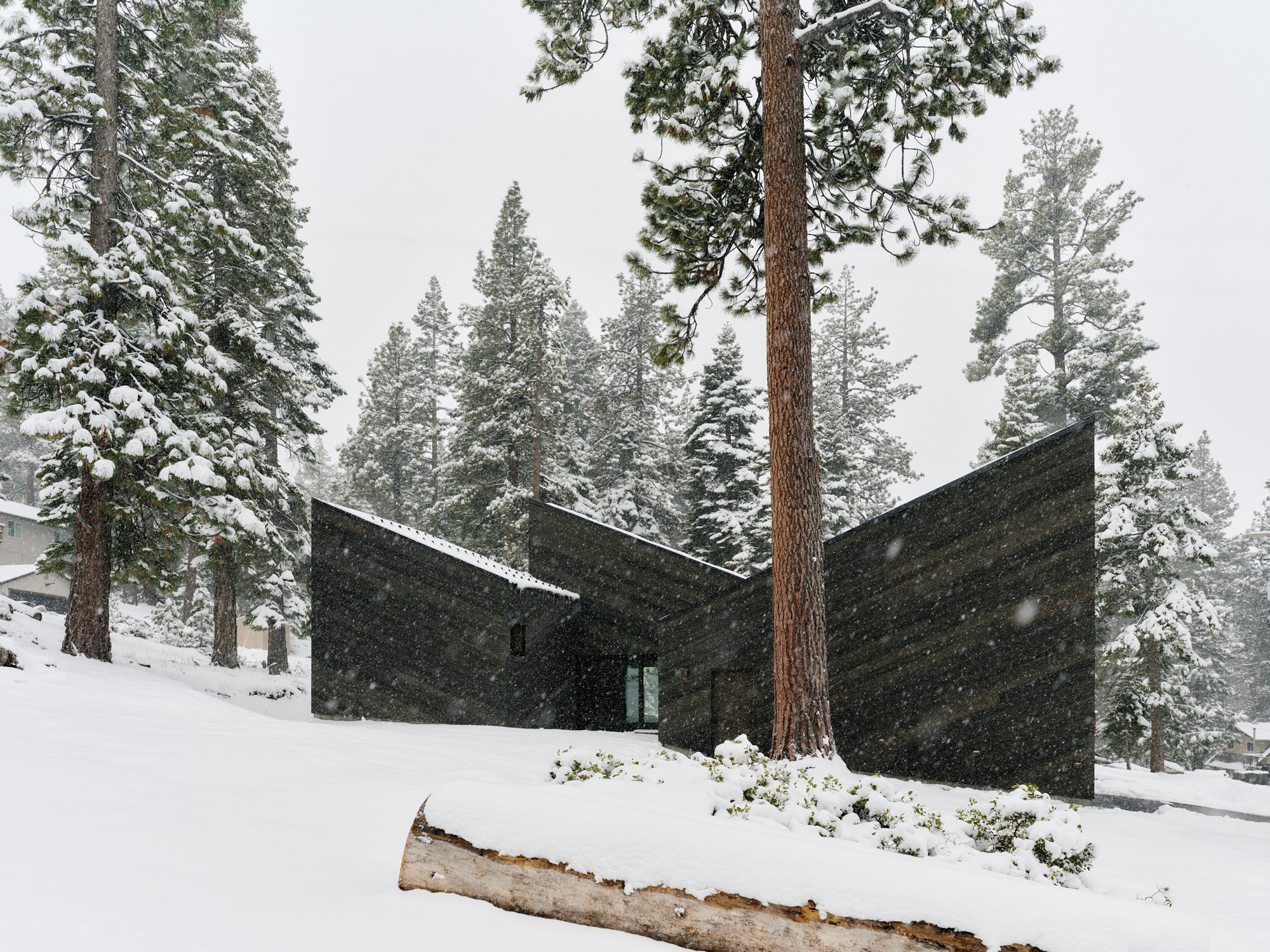 Angled timber-clad forms meeting at sharp corners during active snowfall among forest pines