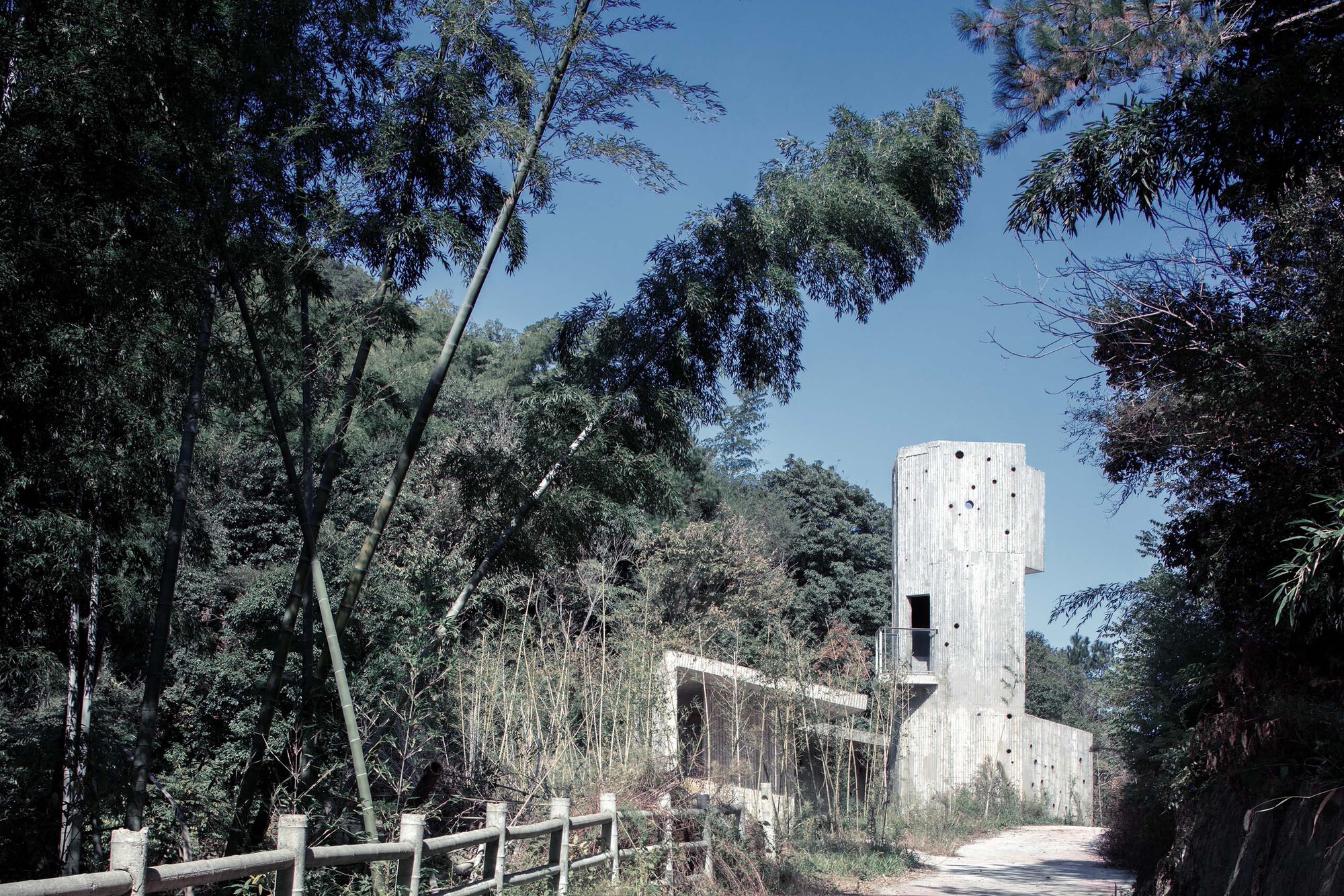 Board-formed concrete tower rising above a single-story volume along a gravel path framed by trees