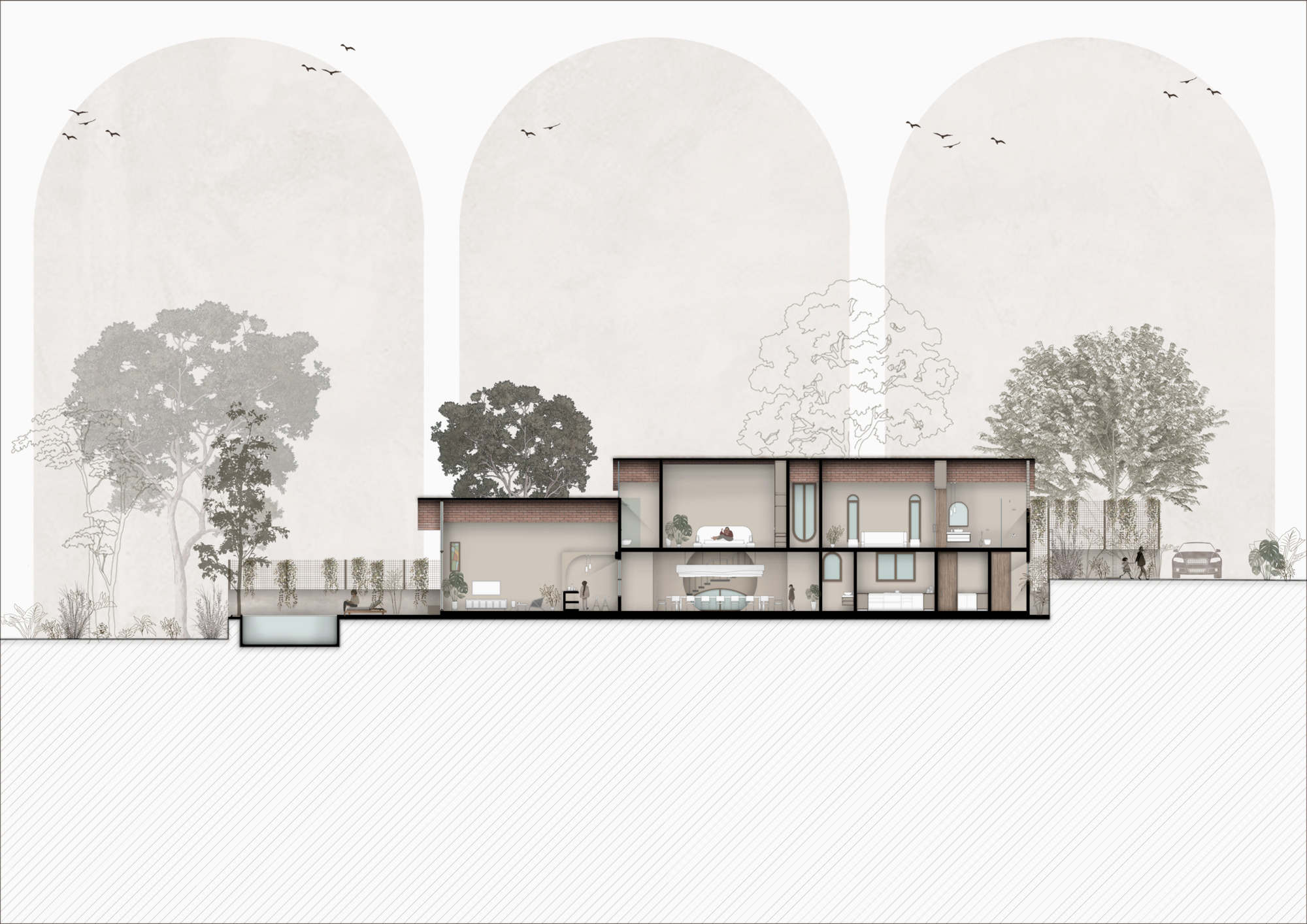 Section drawing showing multi-level interior rooms with double-height spaces beneath a flat roof and mature trees