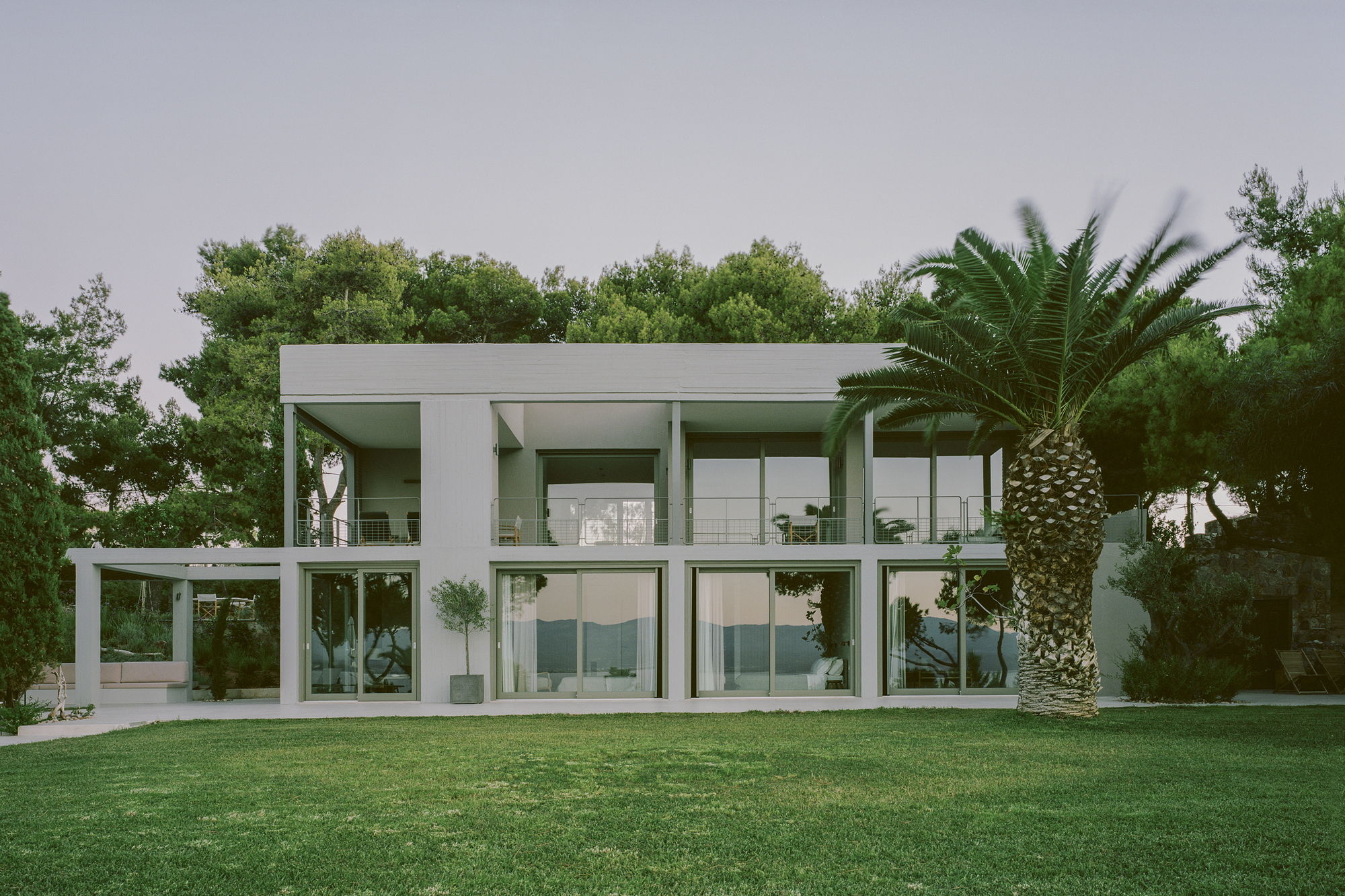 Garden elevation showing the frame structure with full-height glazing flanked by a mature palm tree