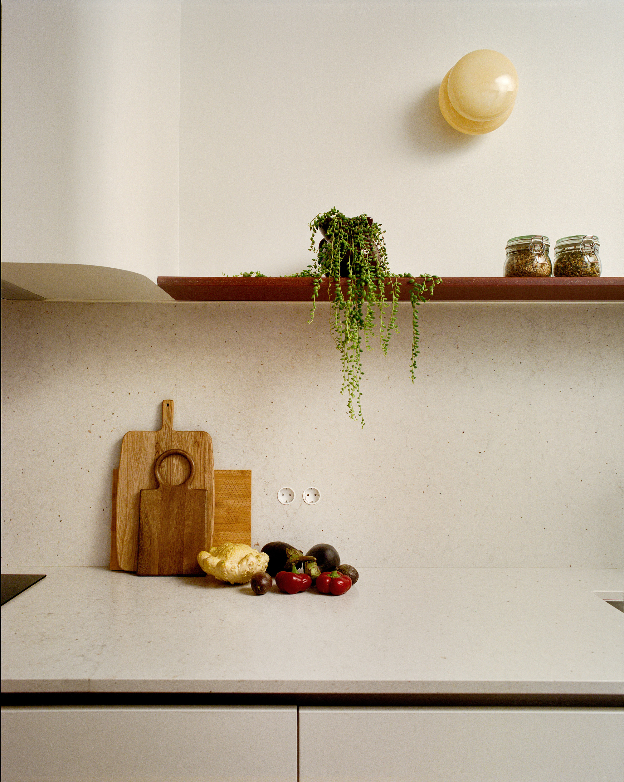 Kitchen counter with terrazzo backsplash, terracotta shelf and trailing plant