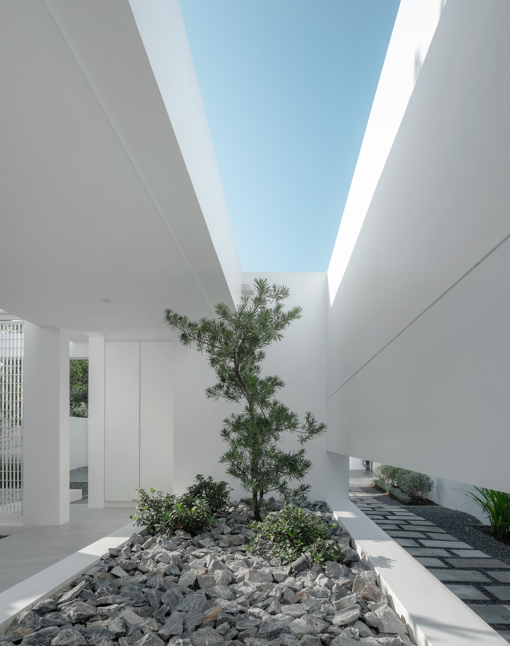 Narrow courtyard with linear skylight above pine tree and rock garden between parallel walls