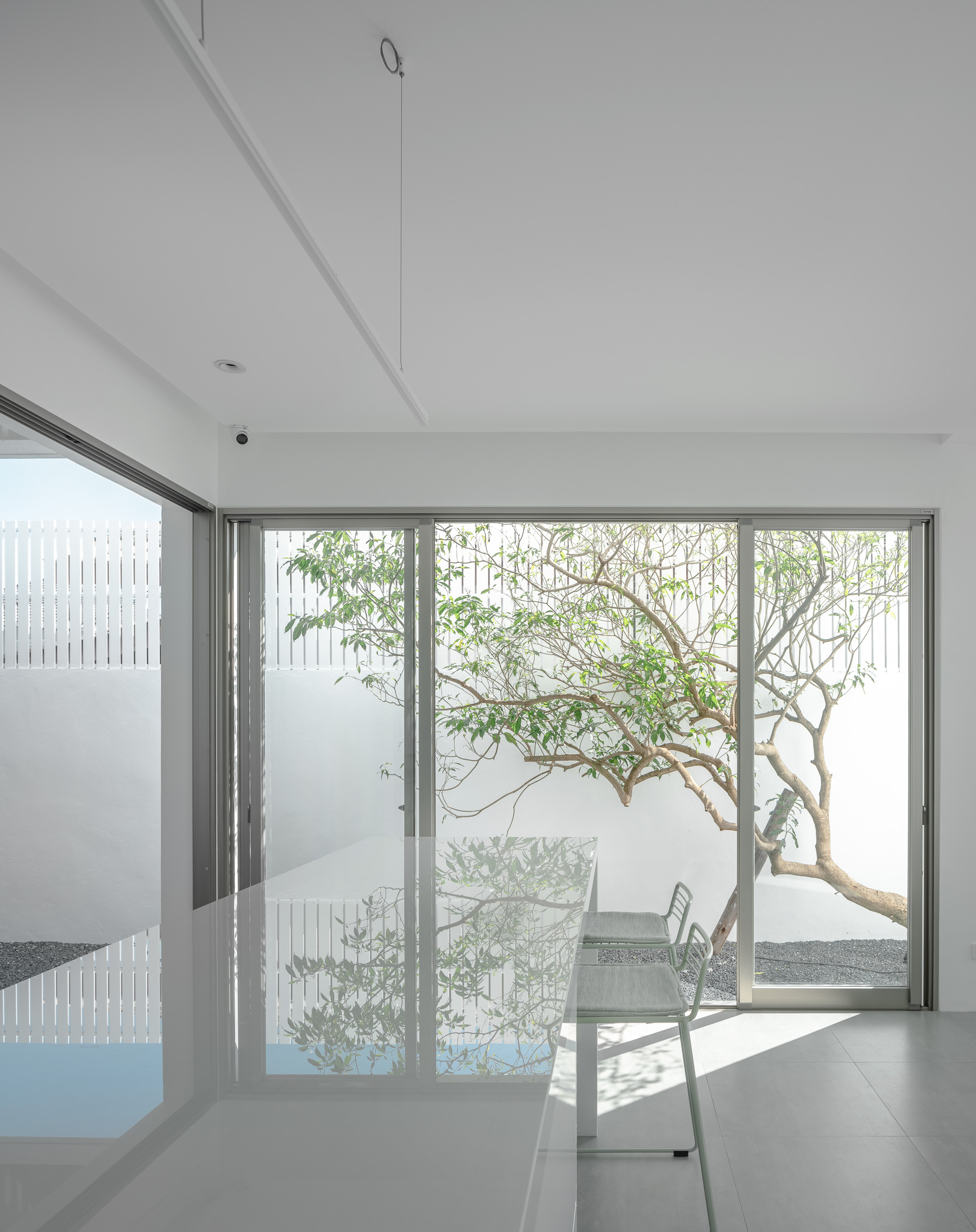 Interior corner with glass walls framing a courtyard tree and reflecting pool in bright daylight