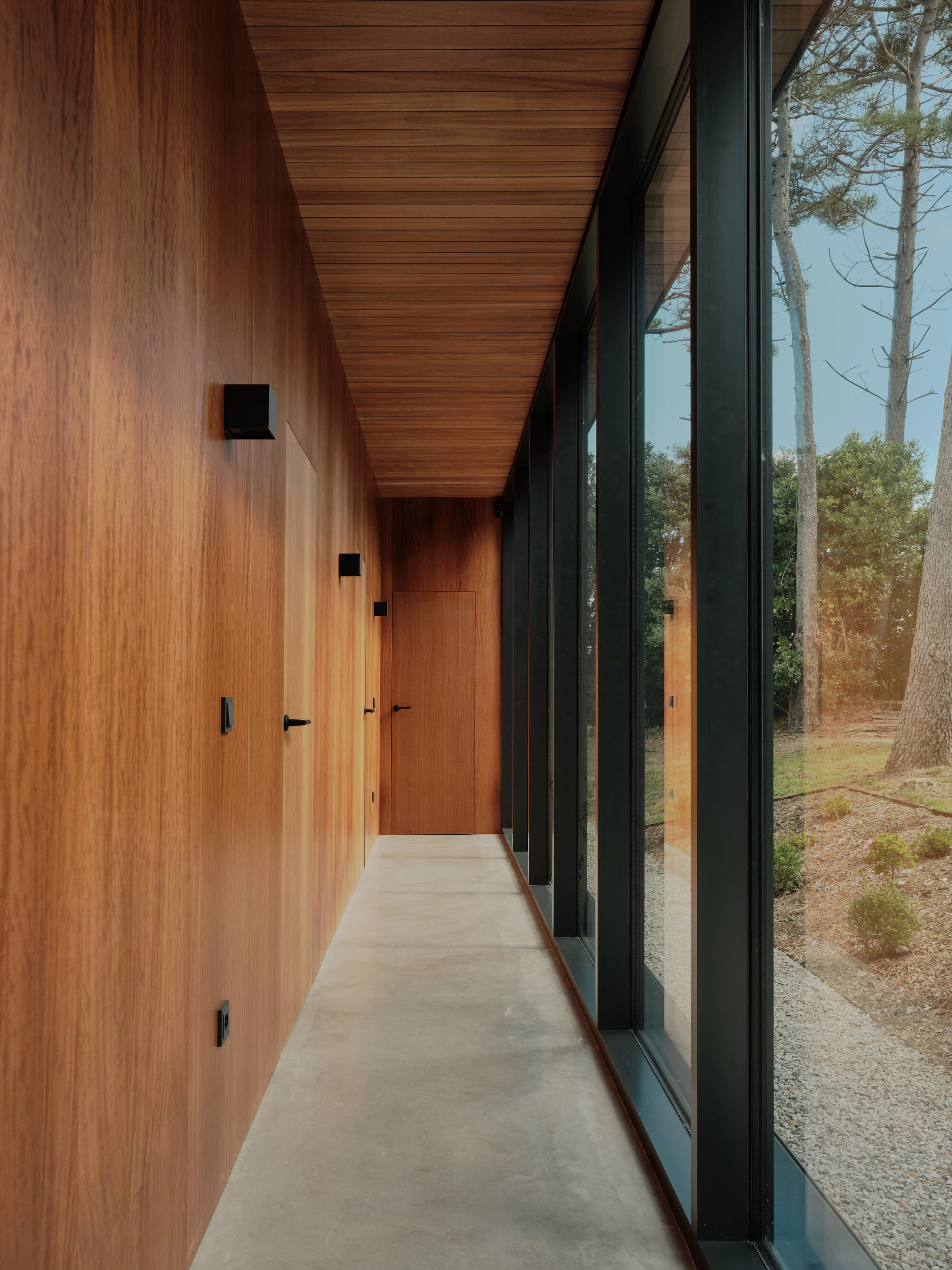 Covered corridor with timber-clad ceiling and wall, glass curtain wall, and polished concrete floor opening to a forested landscape