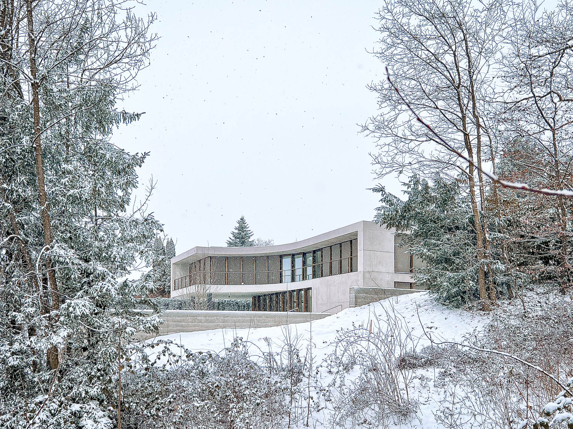 View of the curved concrete roof and timber screens from snow-covered garden with bare trees