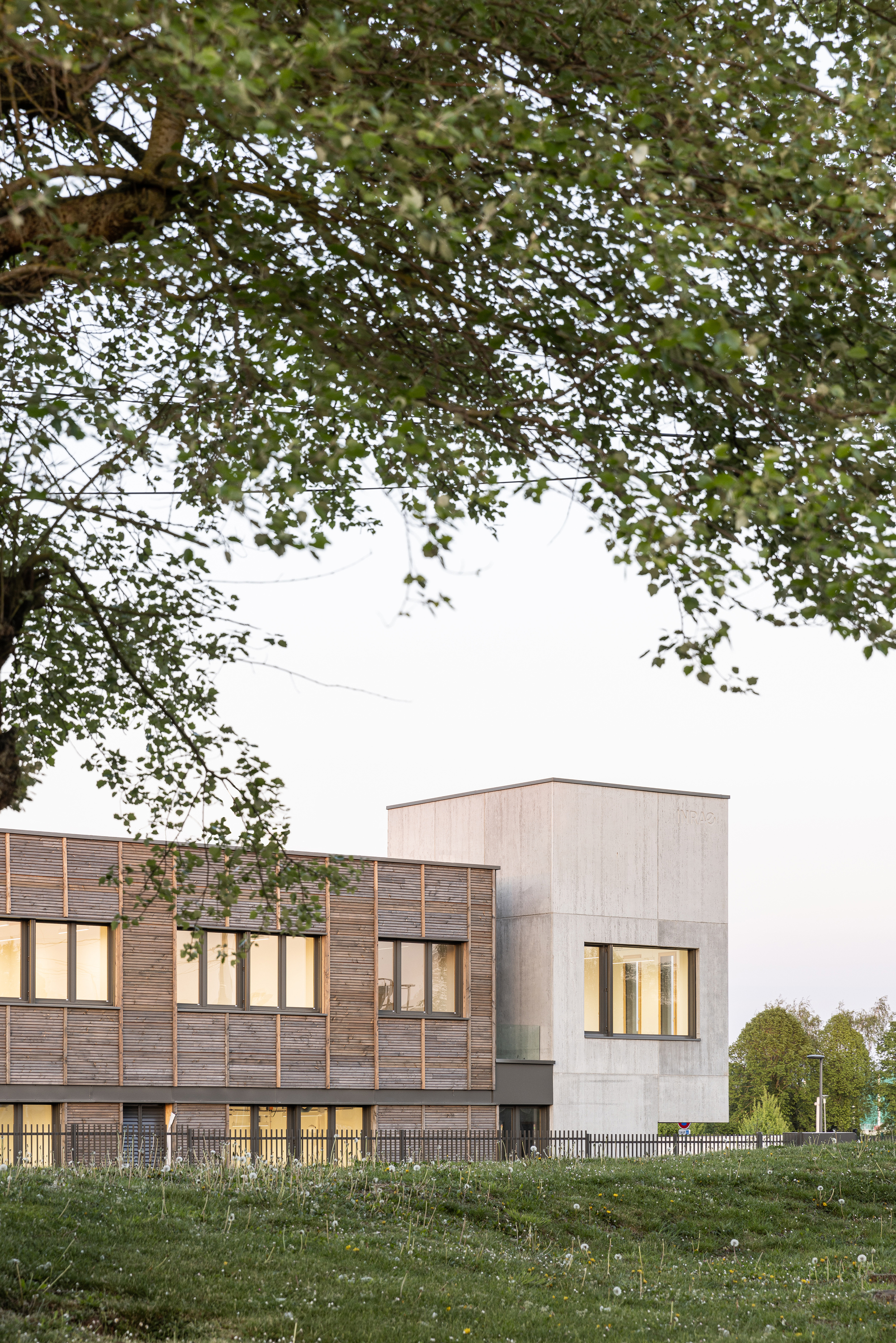 View of the illuminated facade at dusk framed by overhanging tree branches and a grass slope