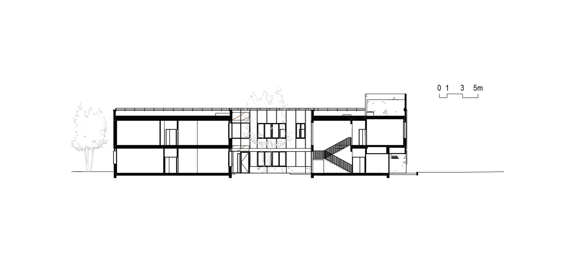Section drawing showing three-story volume with central staircase and a tree to the left