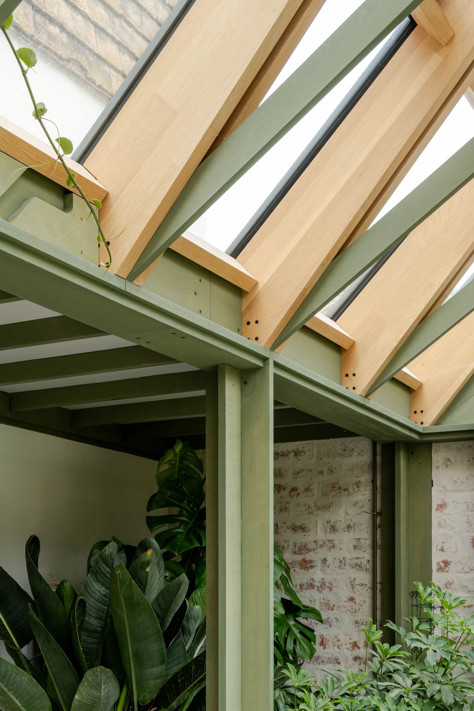 Overhead view of timber rafters and sage green steel beams with climbing vines and planted courtyard below