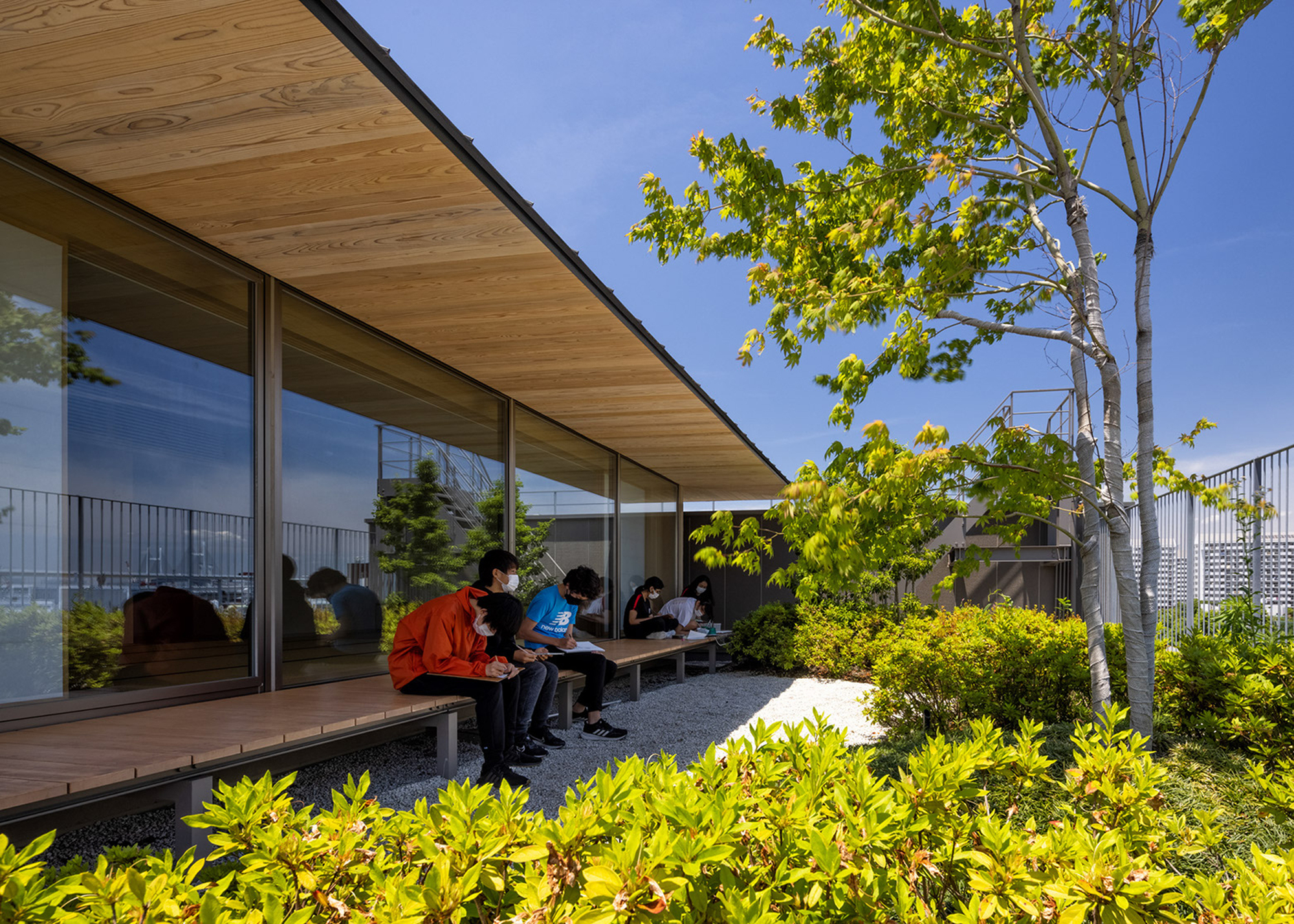 Rooftop terrace with five people sitting on a wooden bench beneath a deciduous tree
