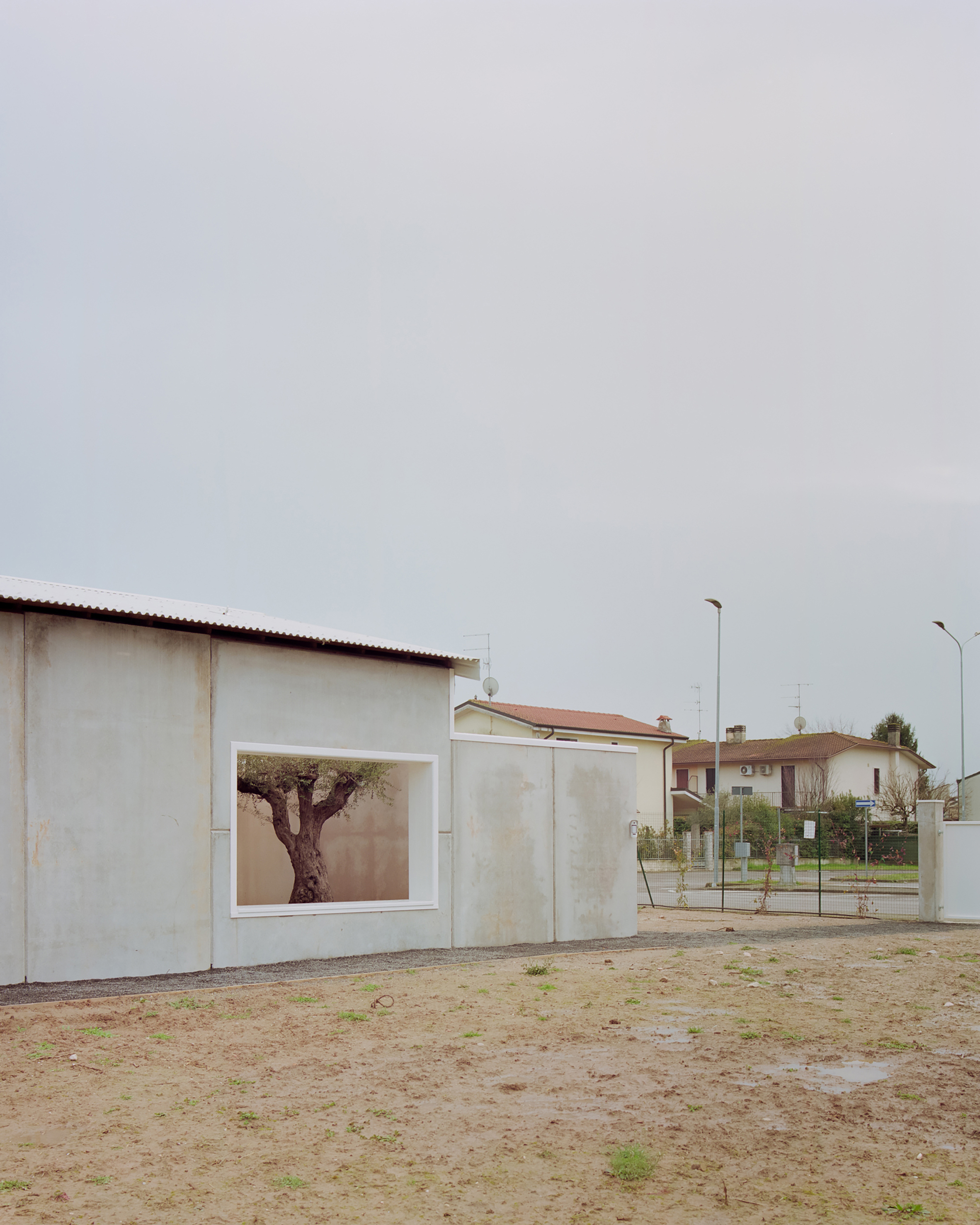 Street-facing elevation with large photograph of a tree framed in white plaster wall