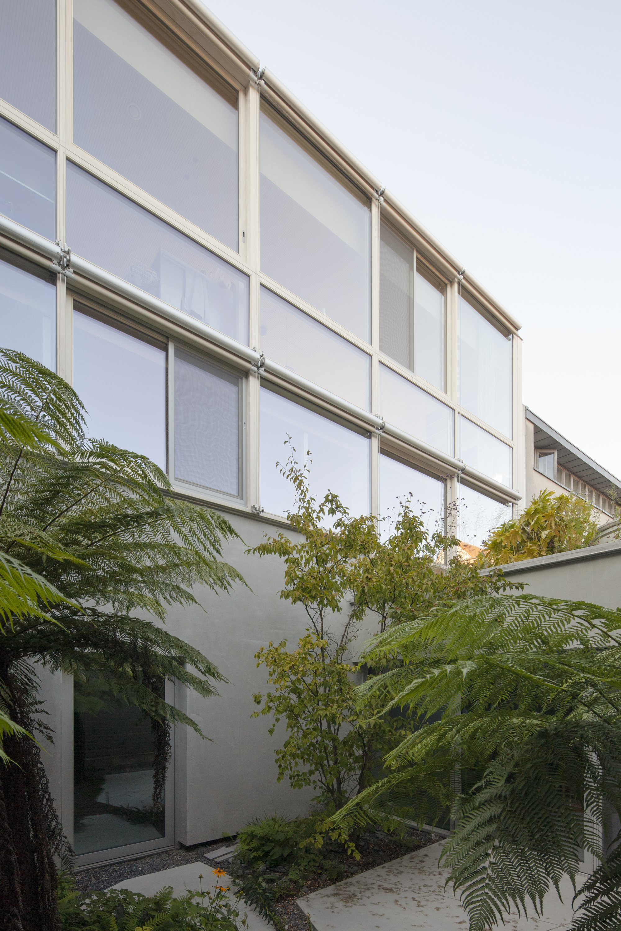 Interior courtyard with gridded translucent facade above rendered walls and young trees