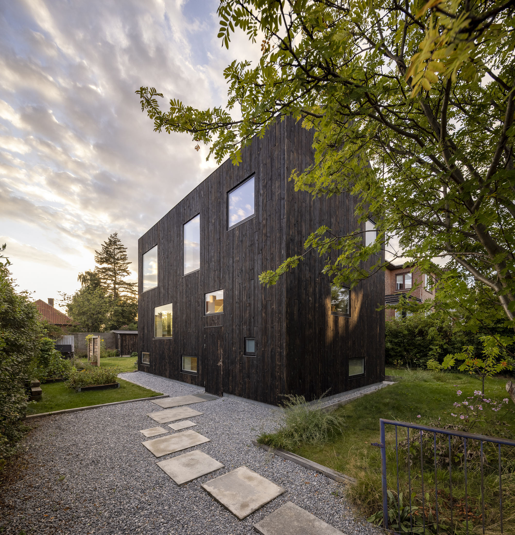 Vertical timber-clad facade with irregularly placed windows framed by overhanging tree branches at dusk