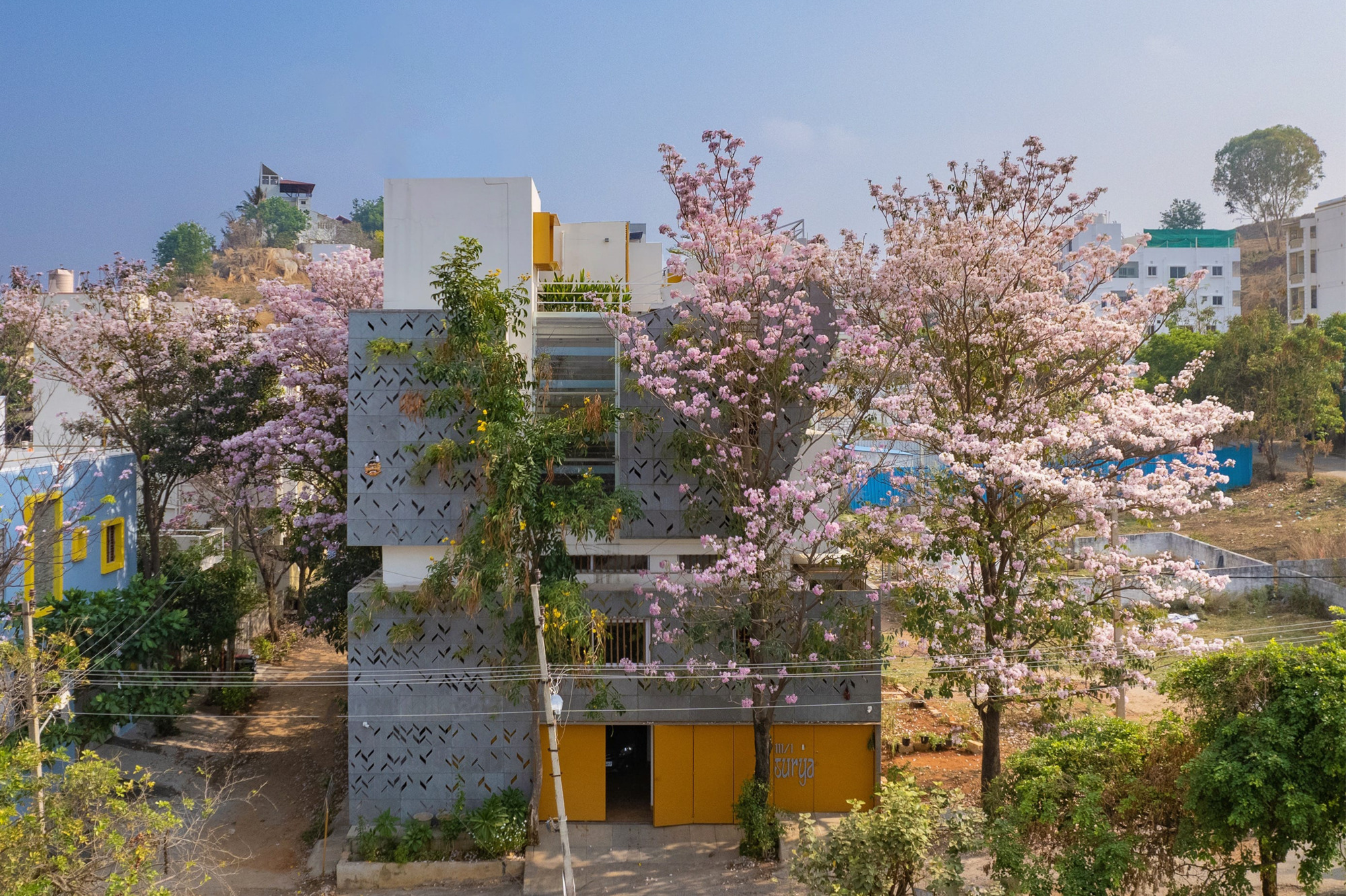 Front facade with patterned concrete screens and yellow openings surrounded by flowering pink trees