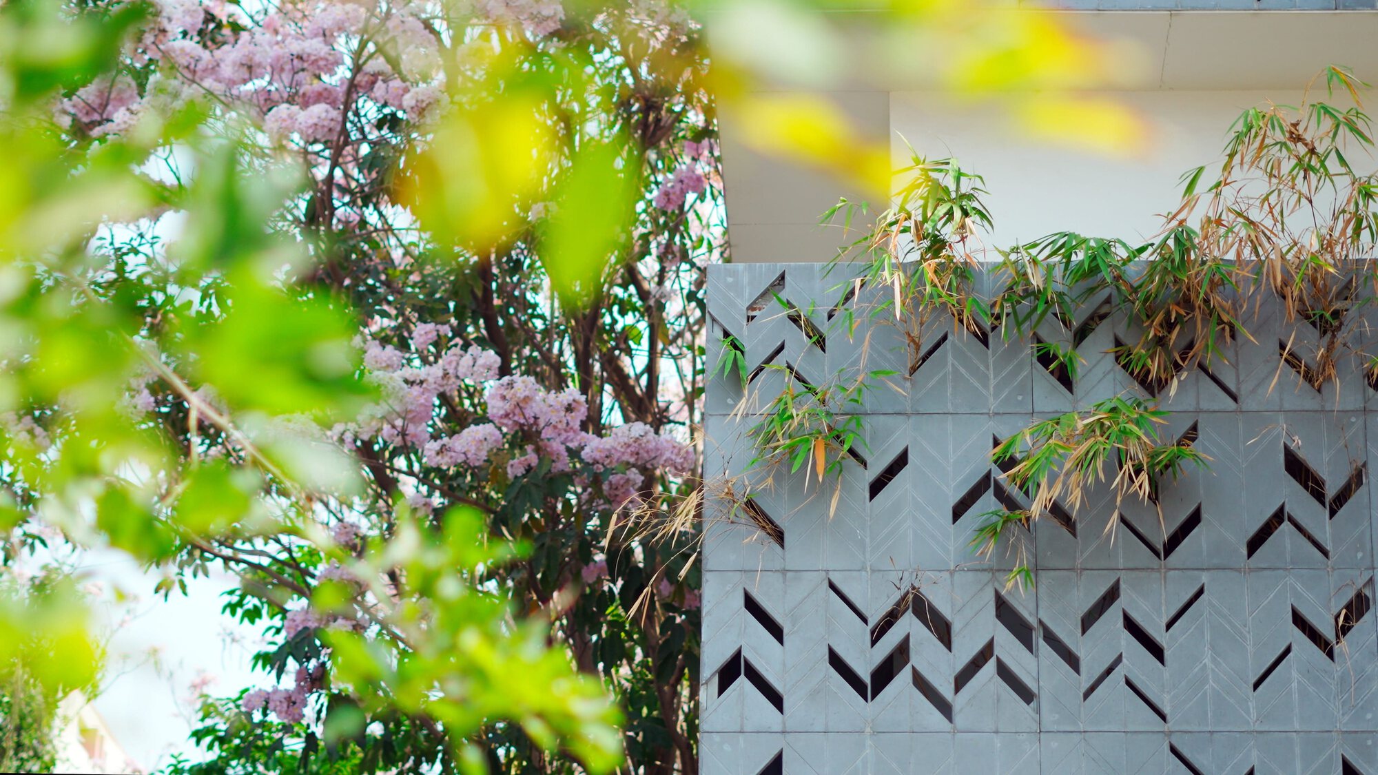 Chevron-patterned concrete screen wall with bamboo and flowering tree branches visible through the openings