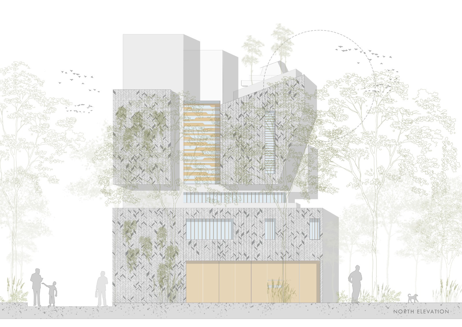 North elevation drawing depicting a multilevel facade with herringbone screening and planted balconies among trees
