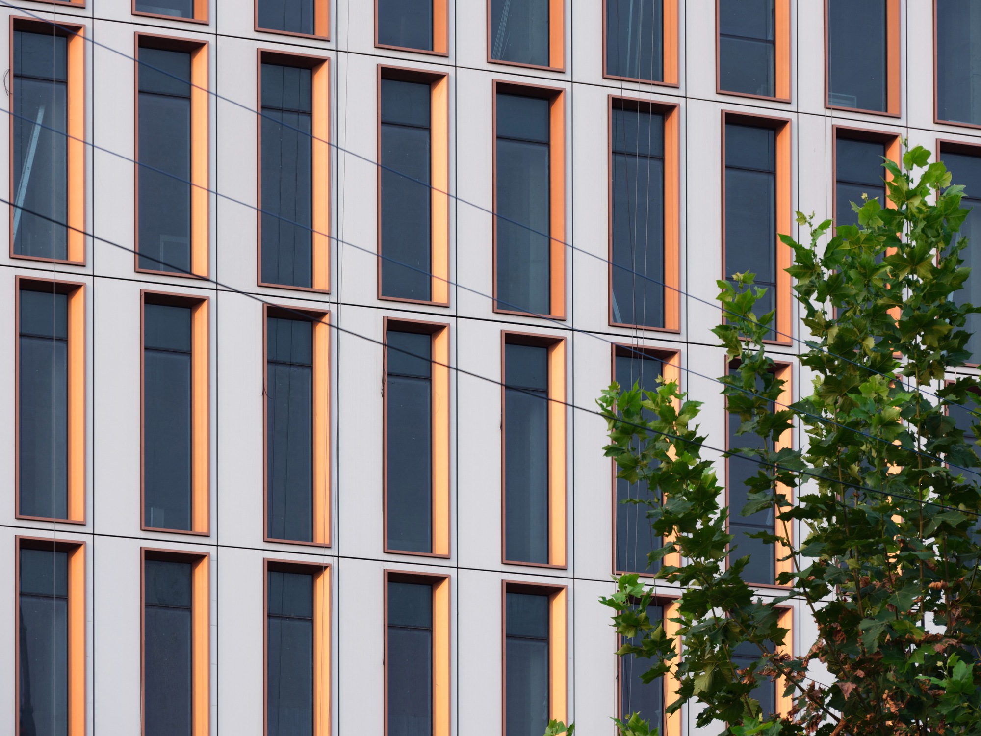 Close-up of the white facade panels with bronze window reveals and green street trees
