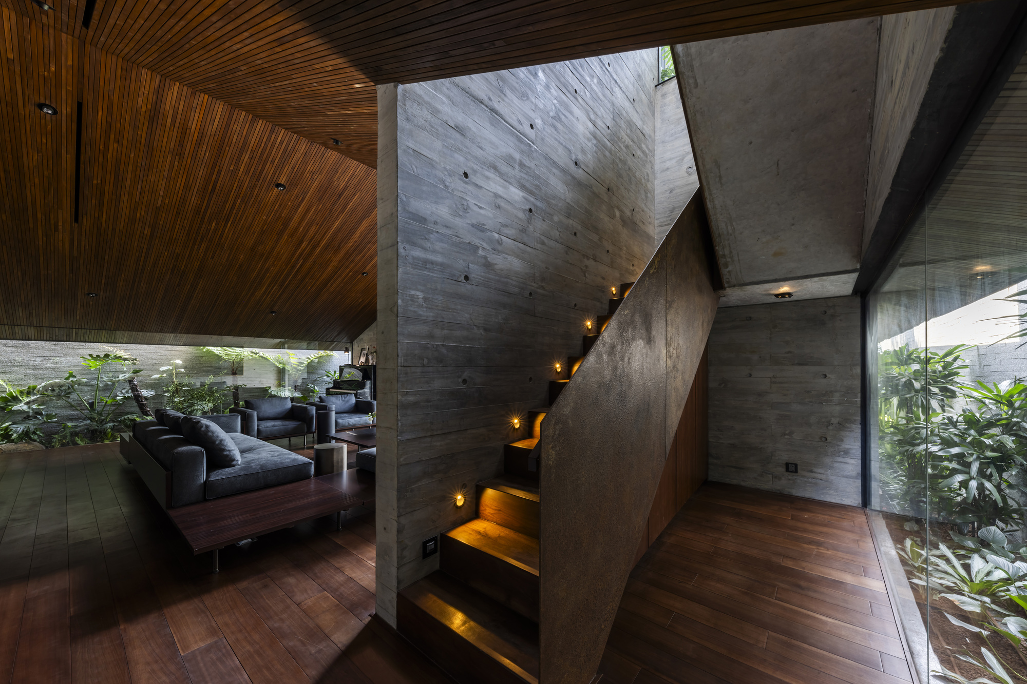 Timber and concrete staircase with integrated lighting ascending beside planted courtyards