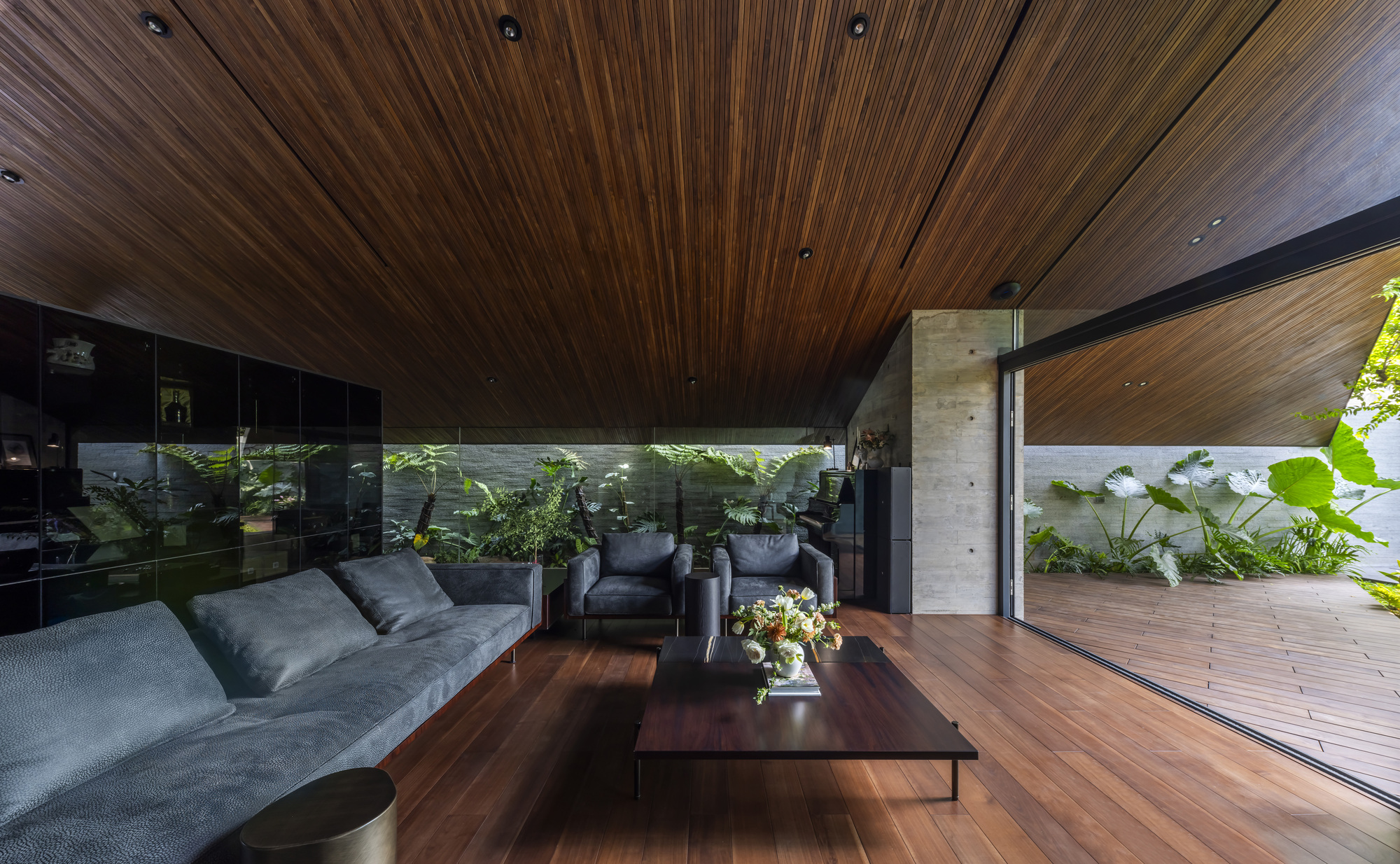 Living area with timber ceiling opening to wooden deck and planted bed with large-leaf foliage