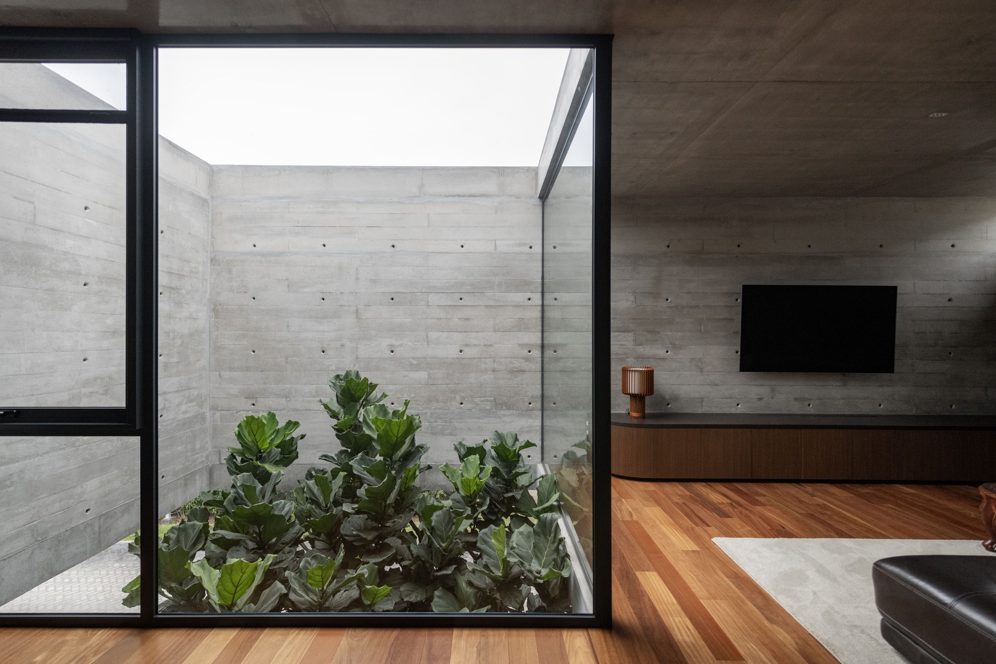 Interior courtyard planter framed by floor-to-ceiling glass and board-formed concrete walls with skylight above