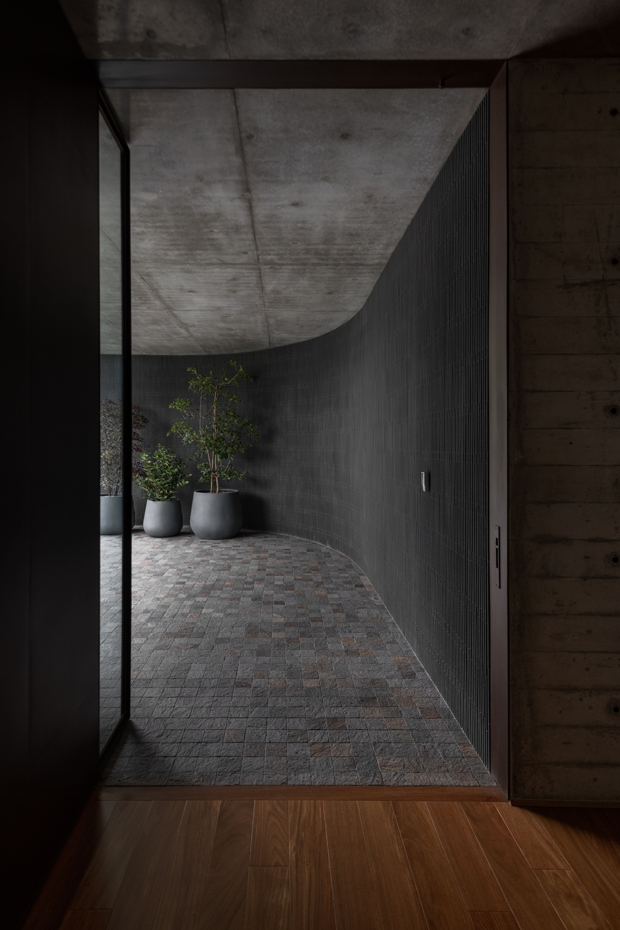 Curved concrete soffit above a dark entry corridor with potted plants and stone floor