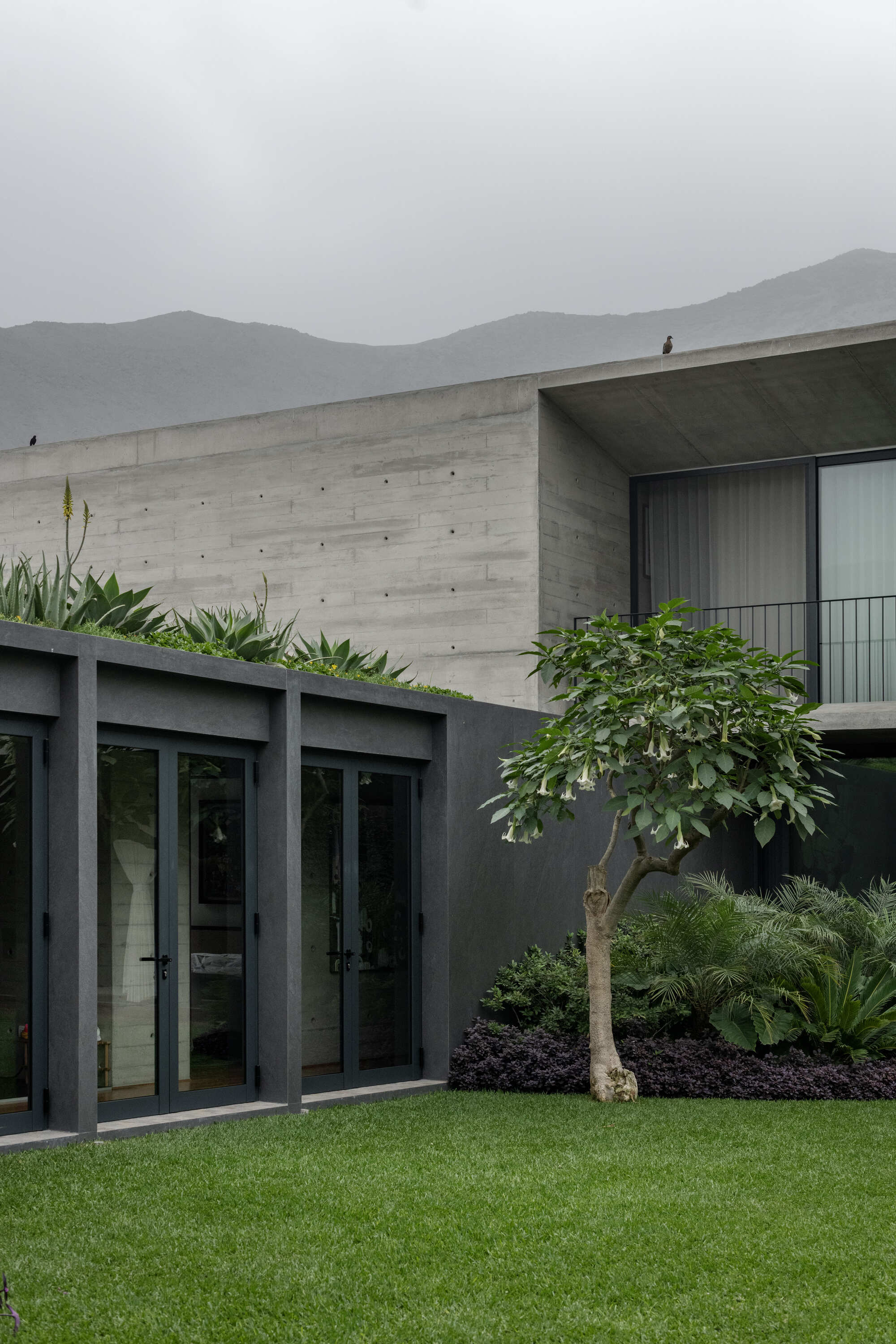 Courtyard garden with planted beds and lawn against board-formed concrete volumes under misty mountains