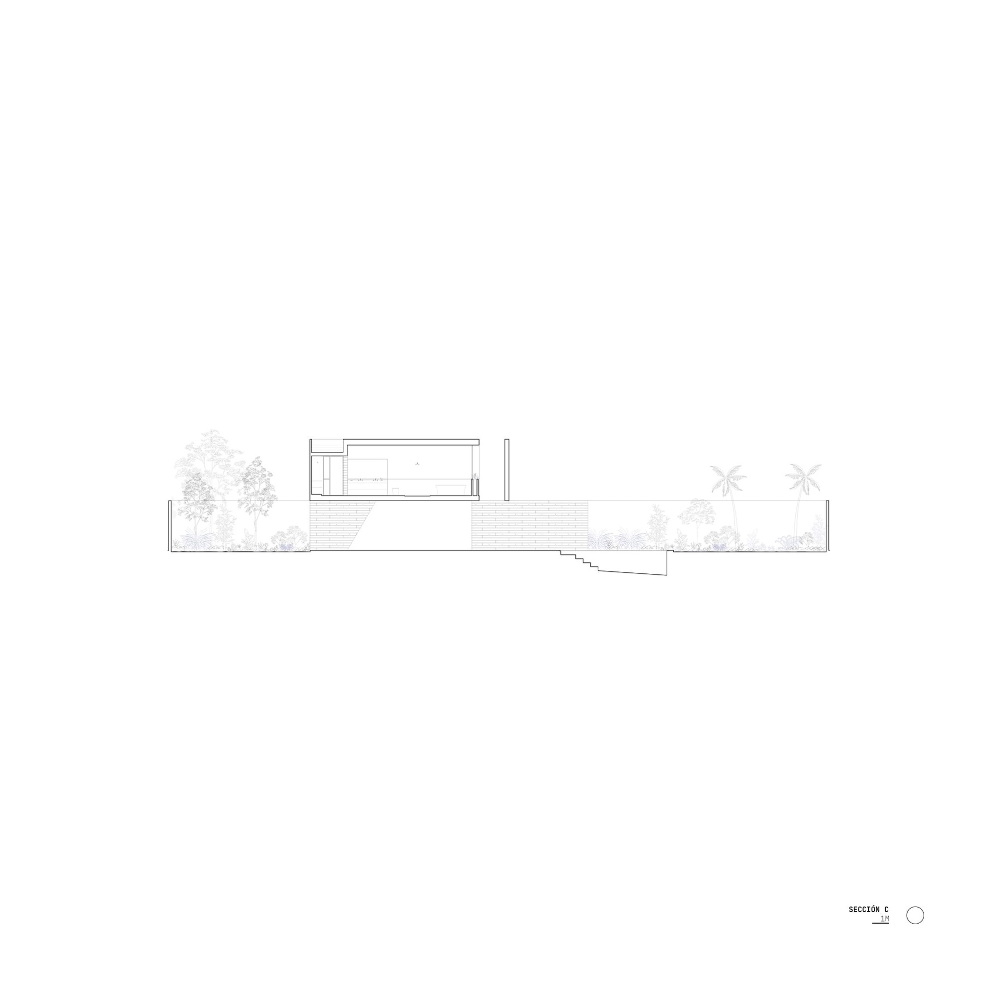 Section drawing cutting through the split-level structure with trees and palm trees indicated in silhouette