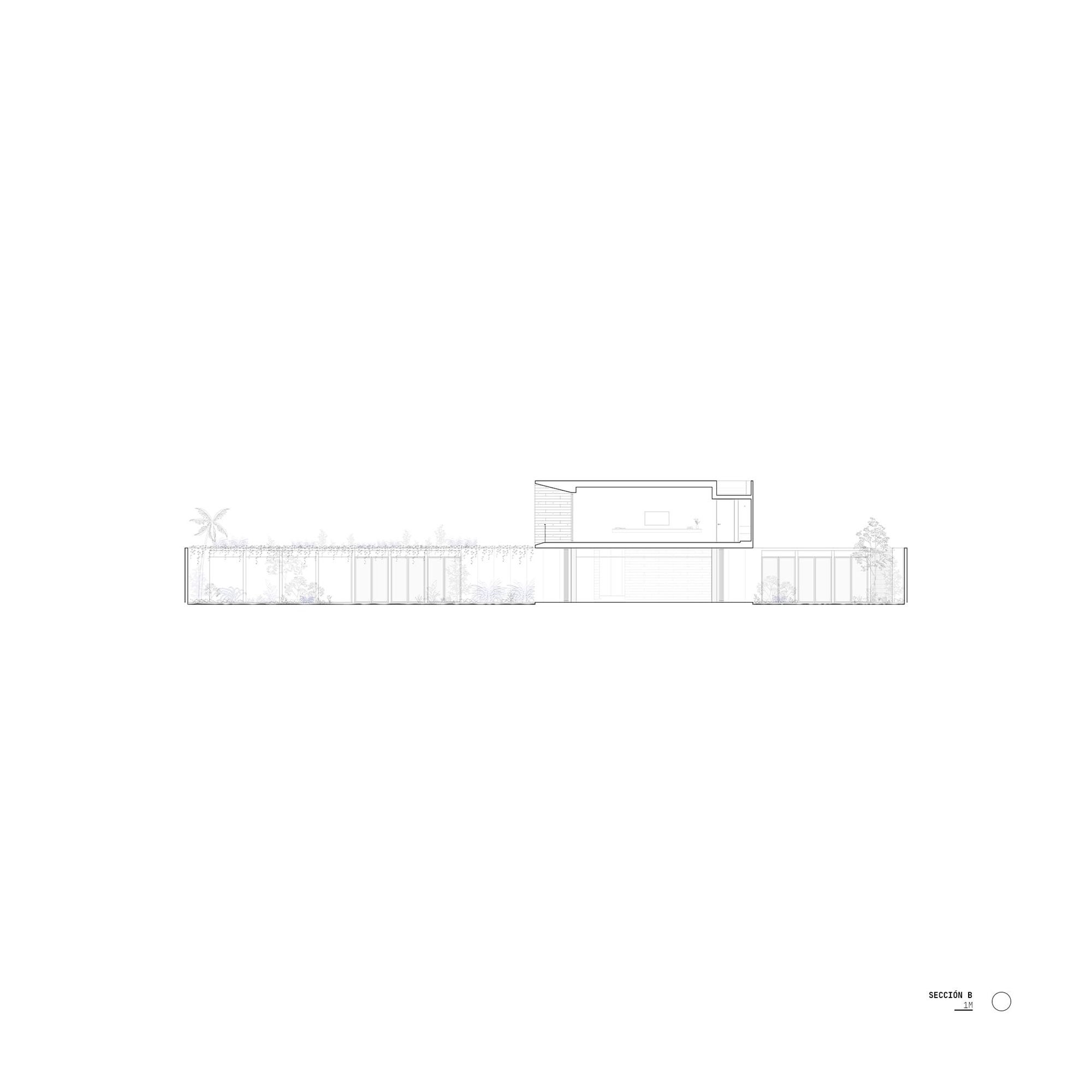 Section drawing showing the elevated volume above a colonnade with a palm tree at left