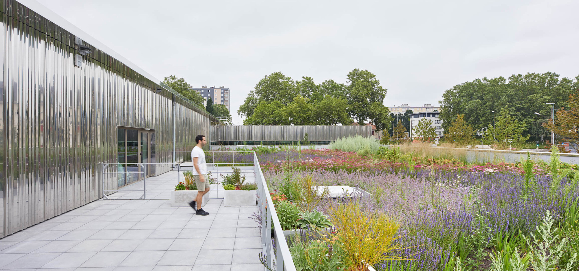 Planted roof terrace with perennials and grasses edging the walkway beside the timber facade