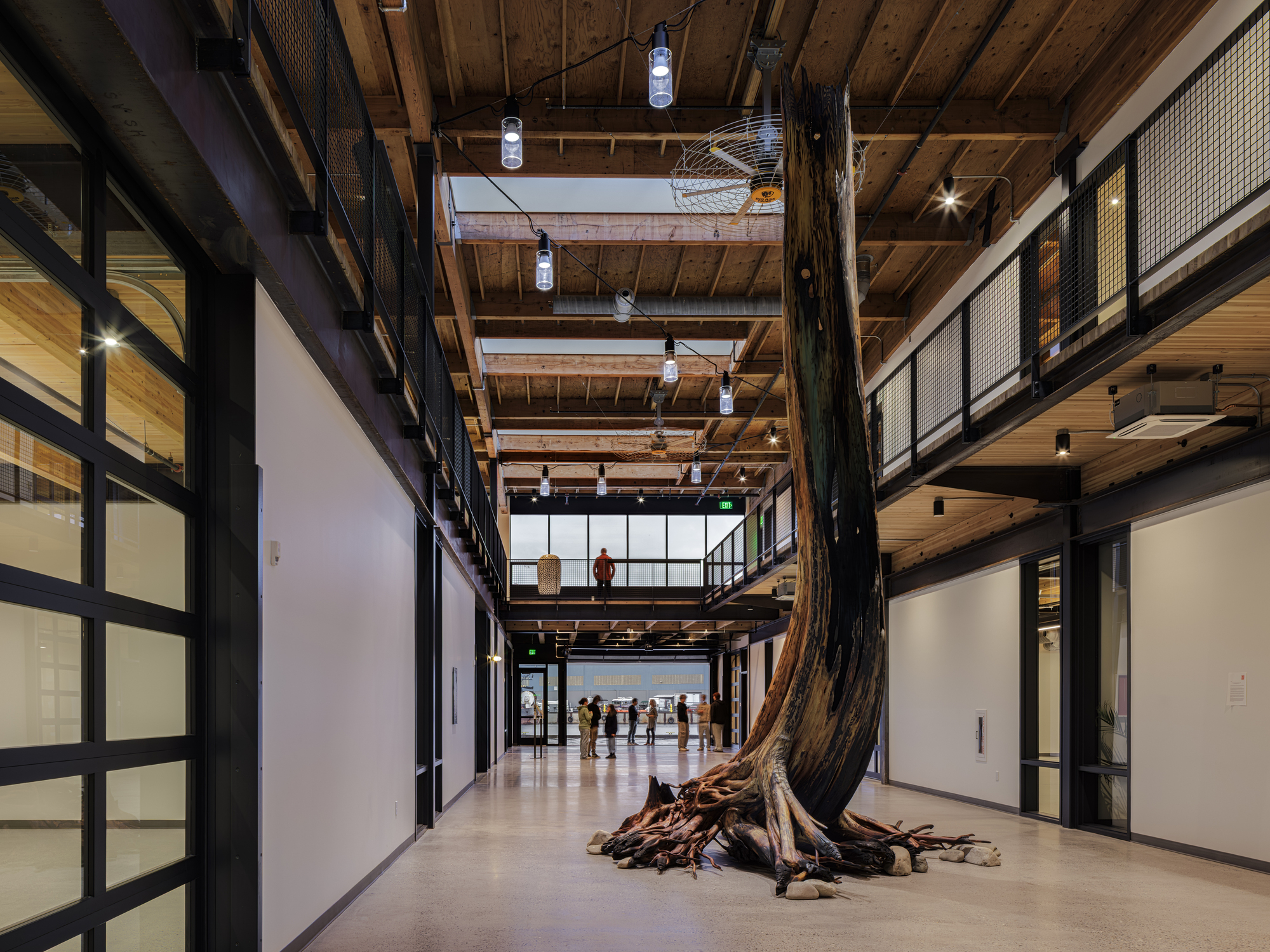 Interior corridor with exposed timber beam structure and a preserved tree trunk running from floor to ceiling