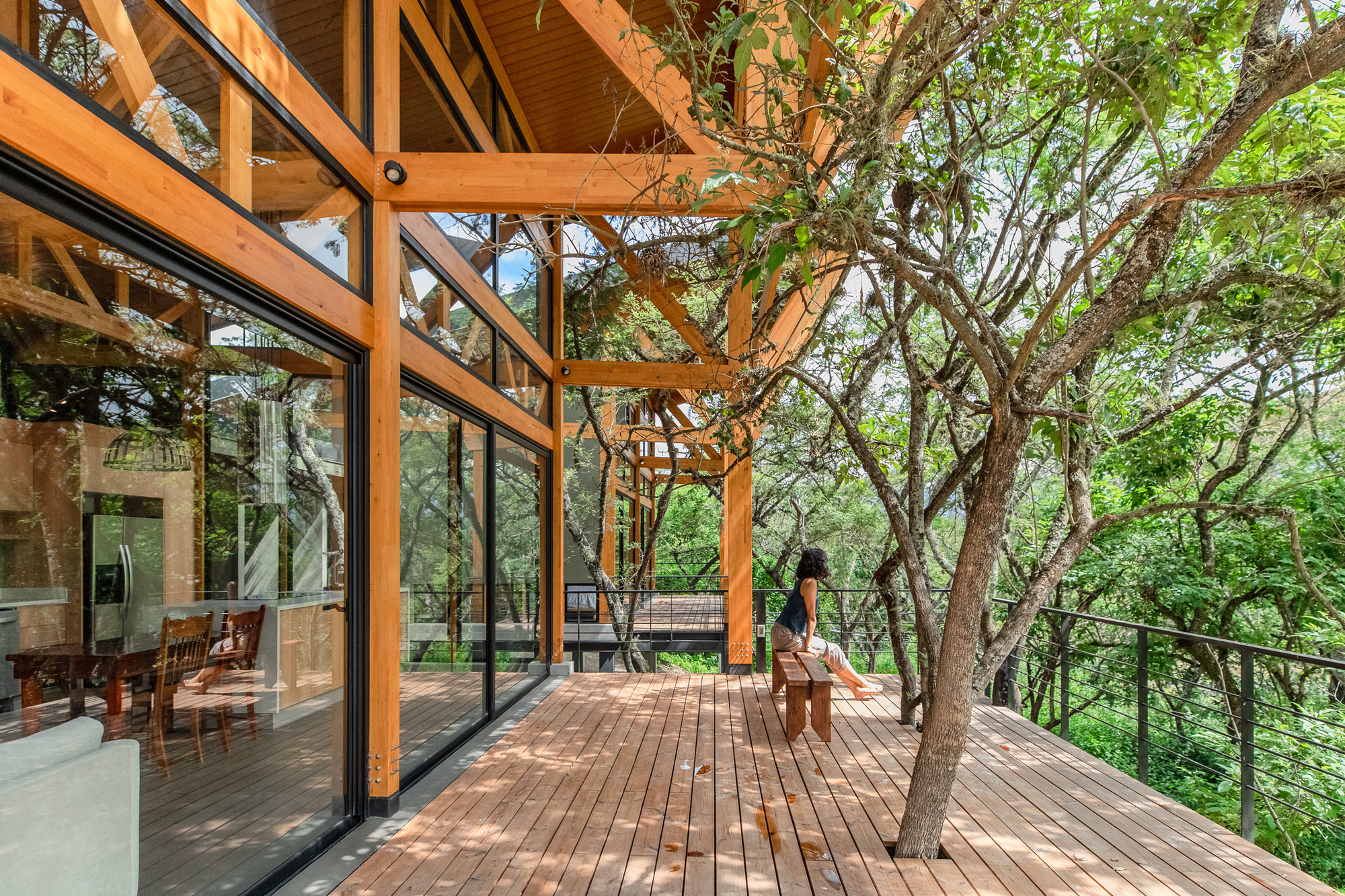 Covered timber deck with exposed post-and-beam structure threading through existing trees among woodland