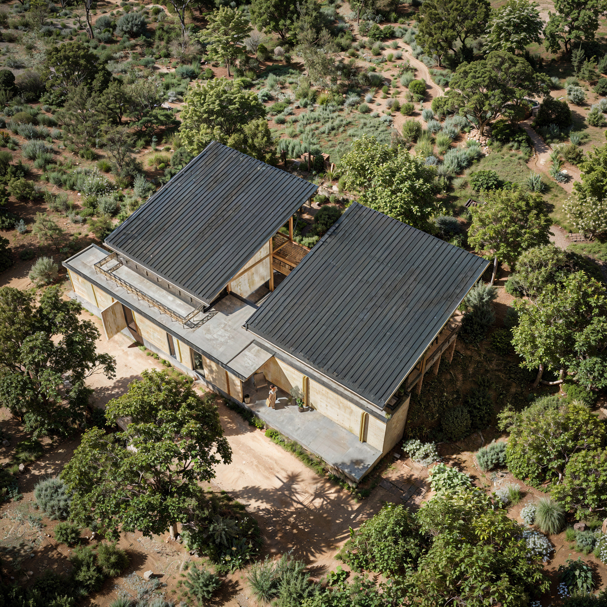 Aerial view of two corrugated metal roofs over timber-framed volumes nestled in a dry landscape with scattered trees