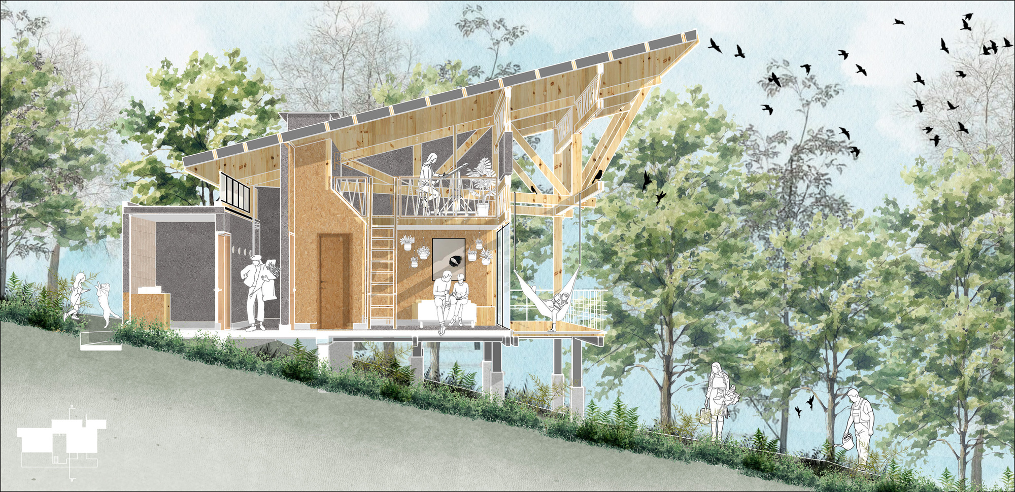 Section drawing showing exposed timber structure with people and birds among trees on a sloping site