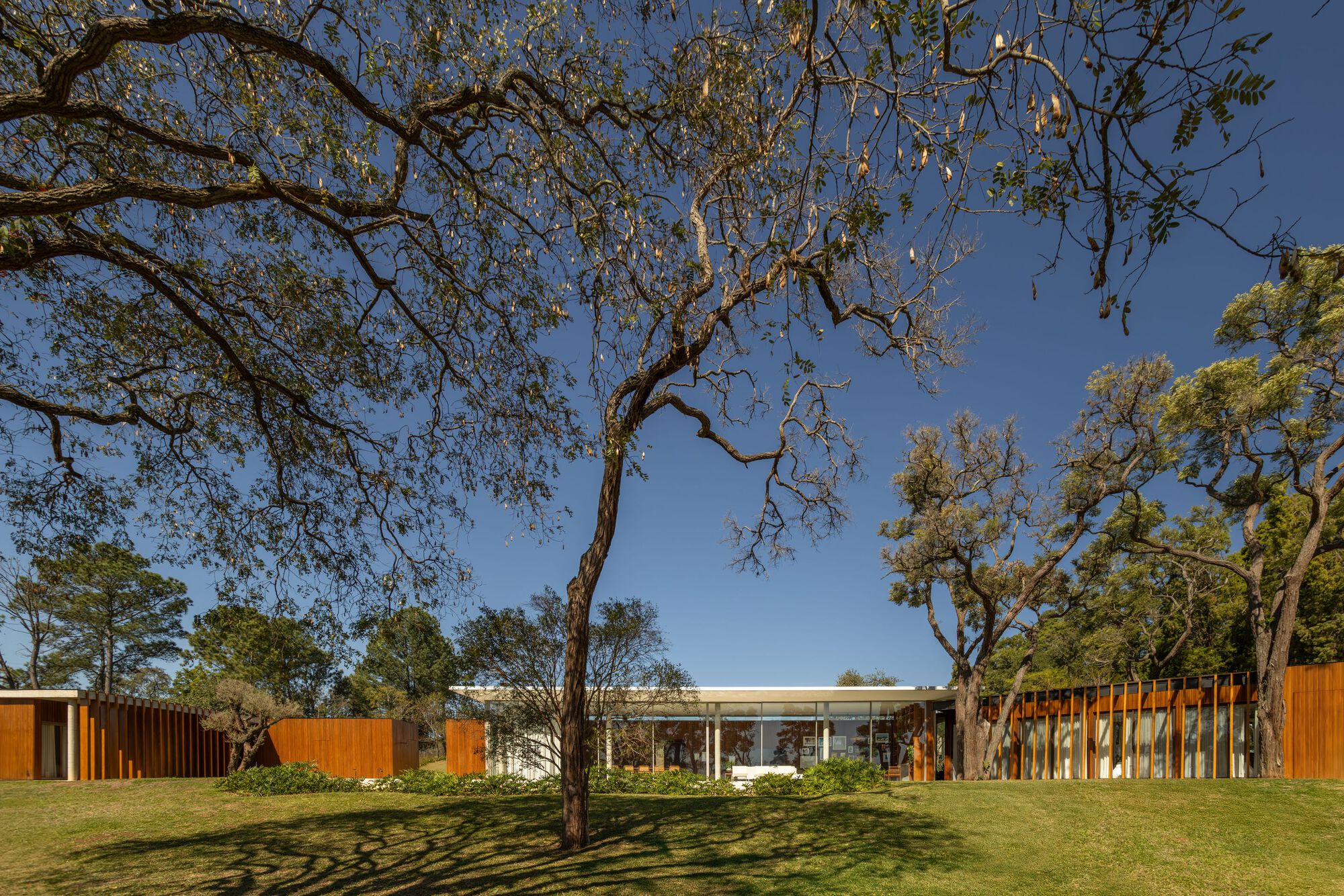 Long view of low-slung pavilions beneath mature trees casting dappled shadows on the grass