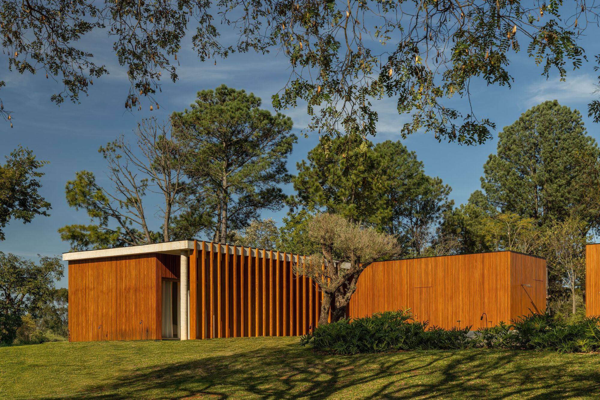 Curved timber-clad volumes separated by vertical slats on a lawn beneath mature trees