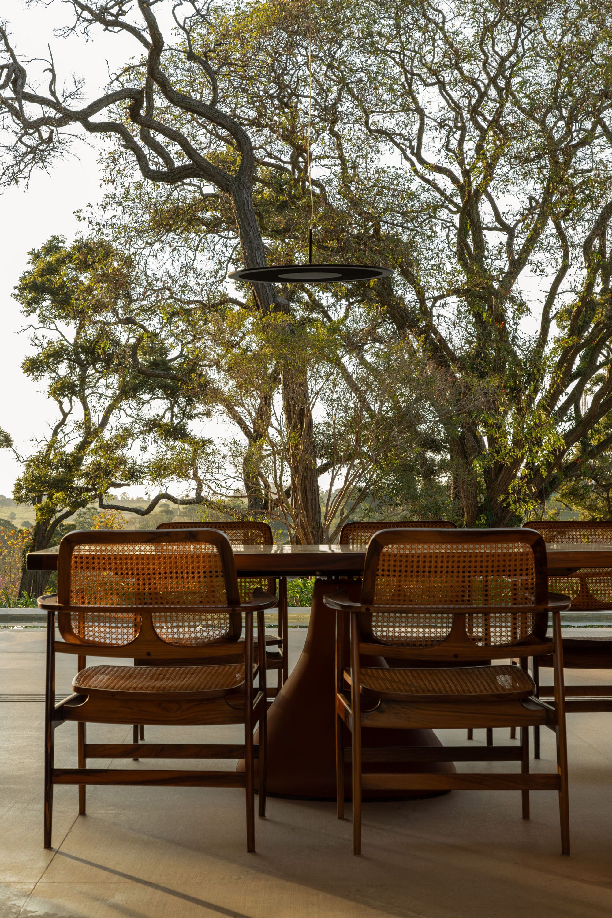 Cane-backed dining chairs around a table on a patio overlooking gnarled tree branches