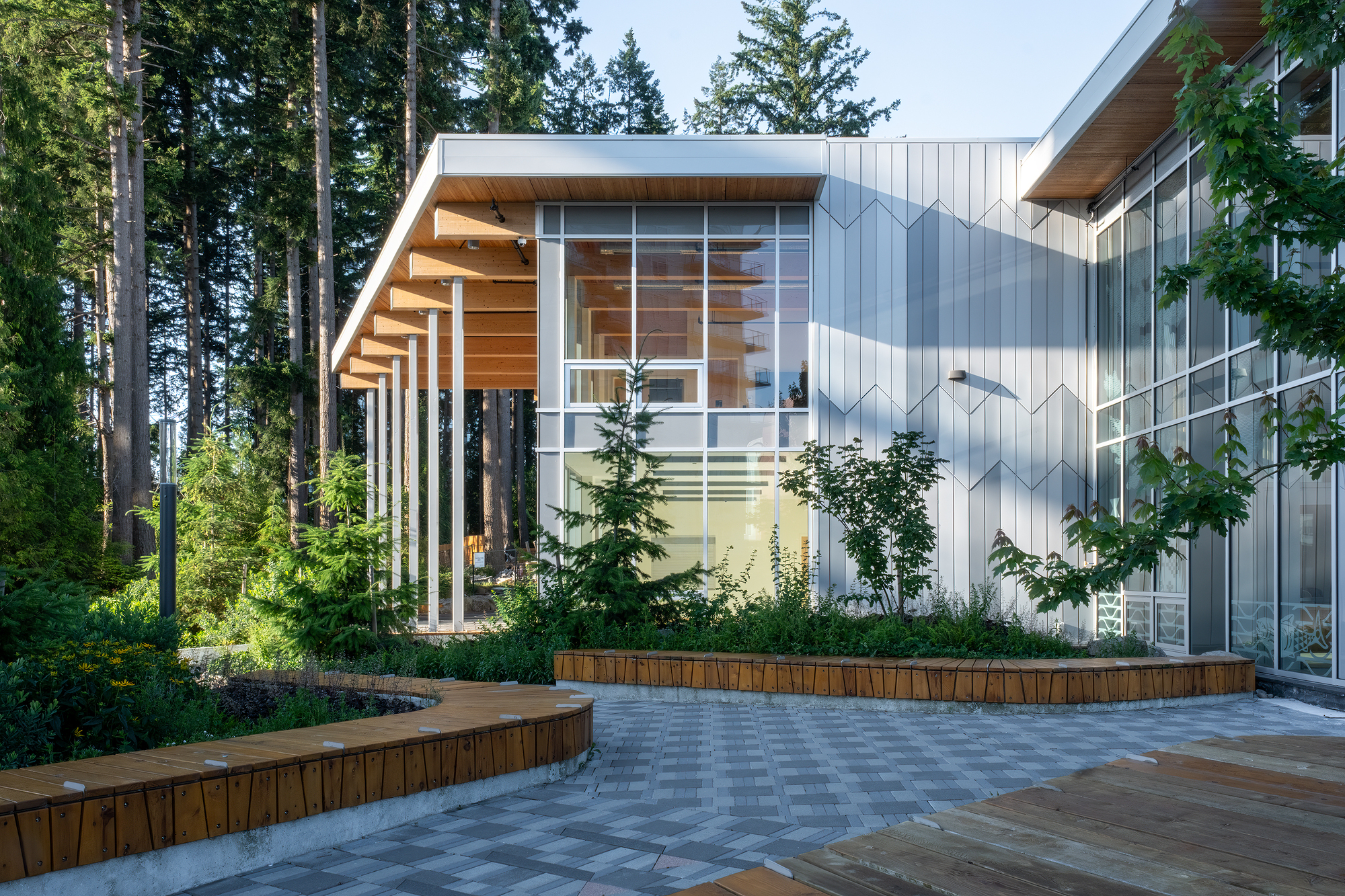 Exterior view showing the cantilevered timber soffit and planted beds with young trees at dusk