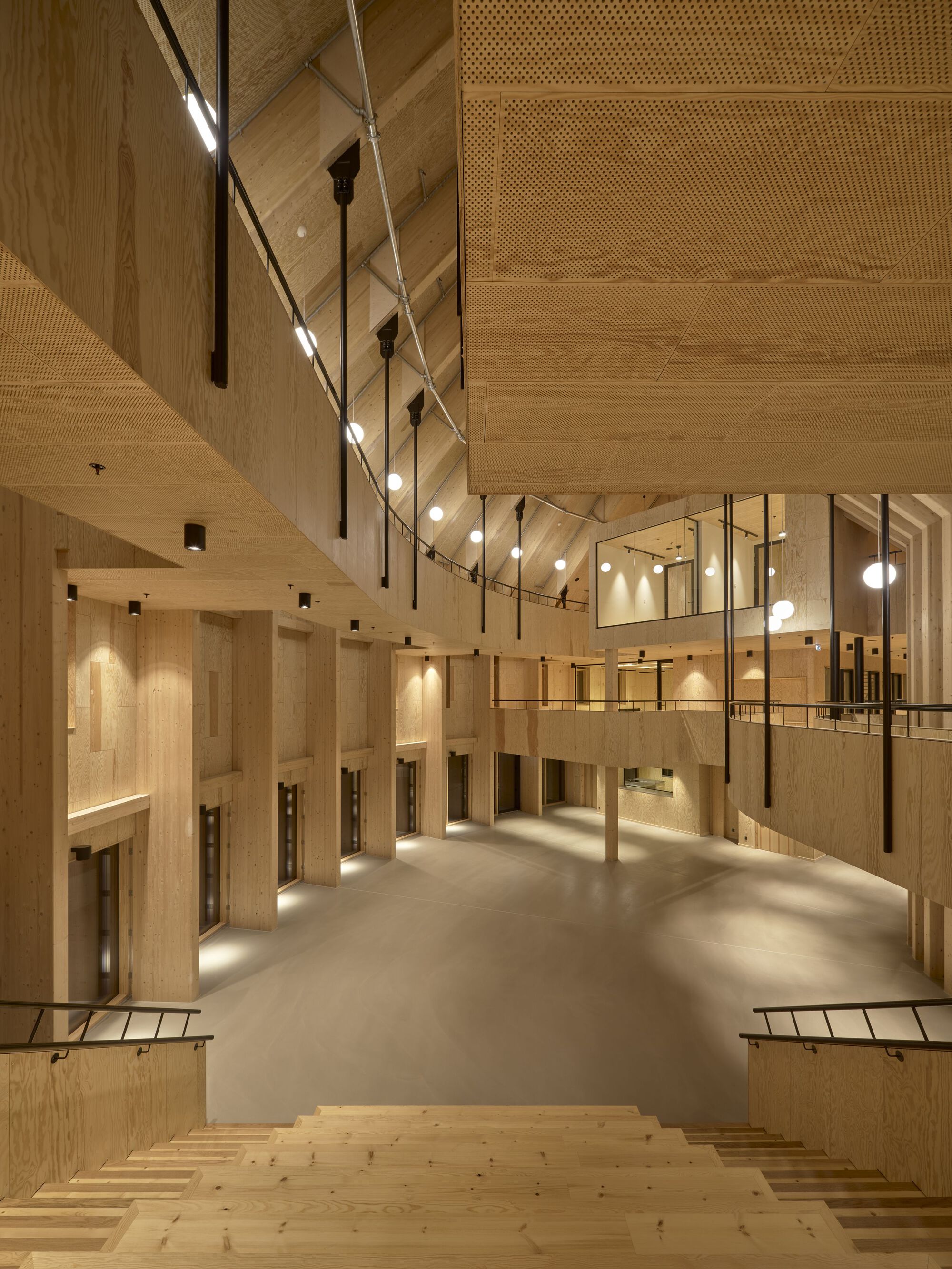View down timber staircase into the multi-level lobby with perforated acoustic ceiling panels and evening light