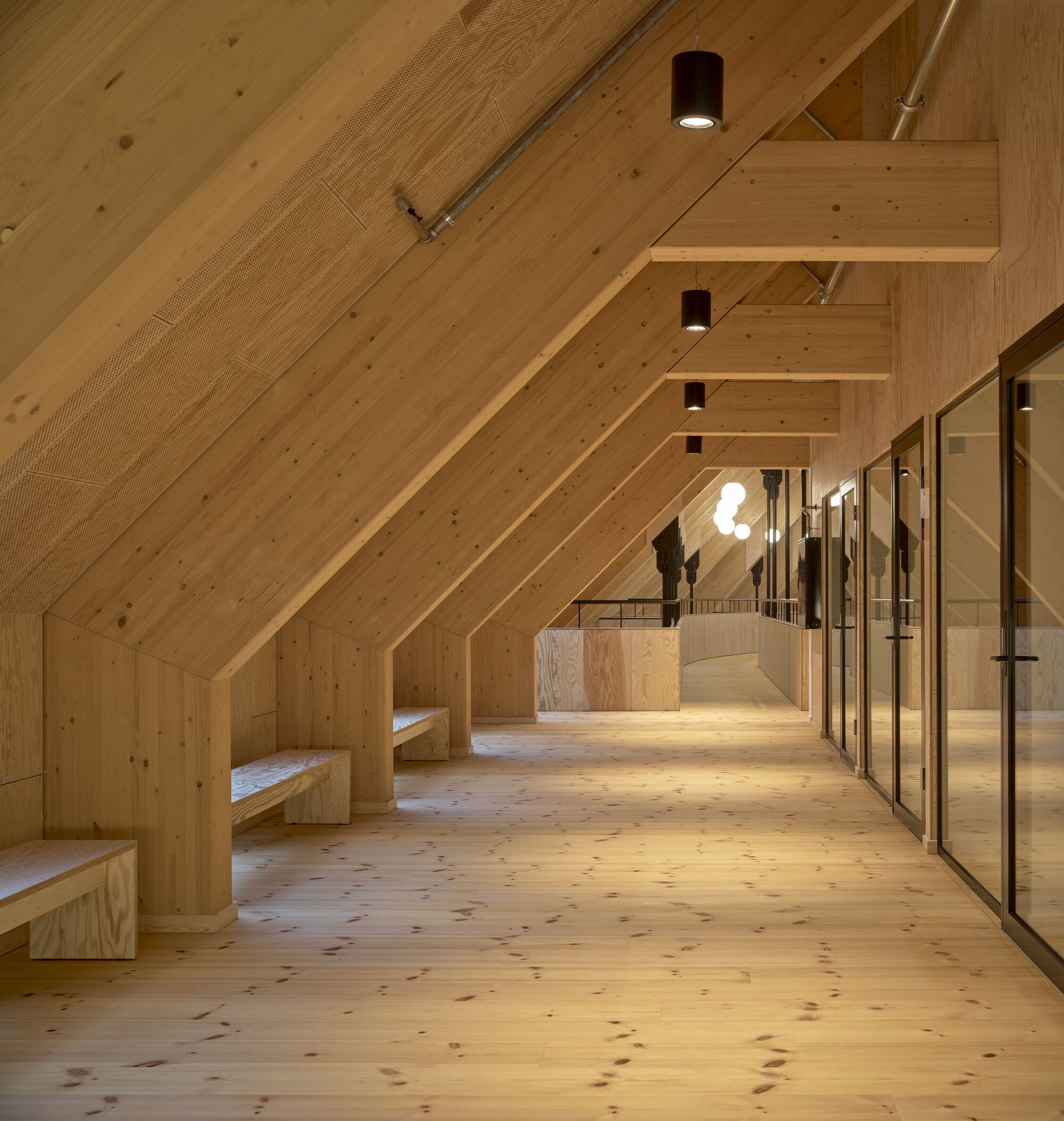 Top-floor corridor with pitched timber ceiling, built-in benches and glazed partitions under cylindrical downlights