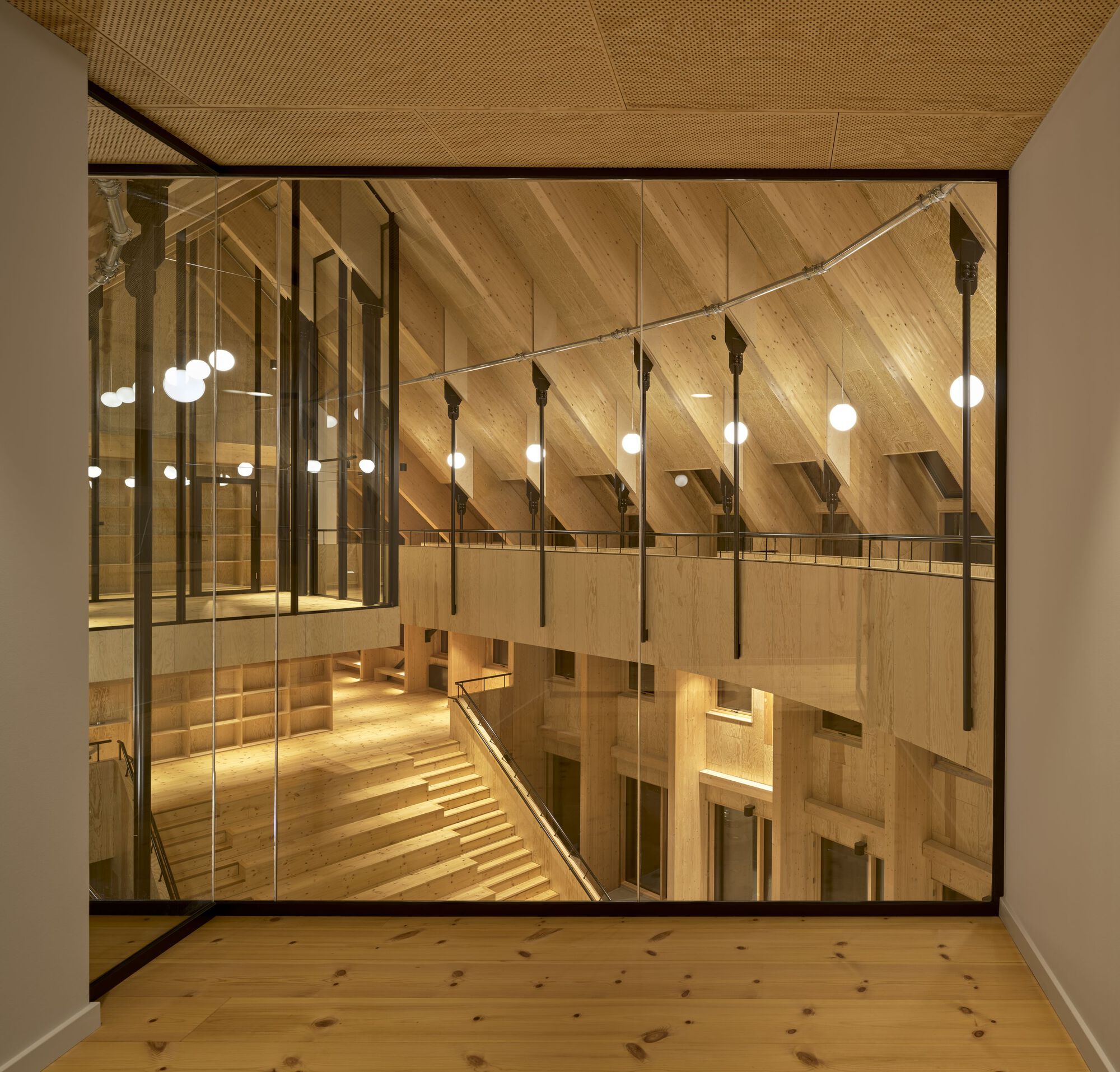 Timber-lined atrium viewed through floor-to-ceiling glazing with pendant lights suspended on cables